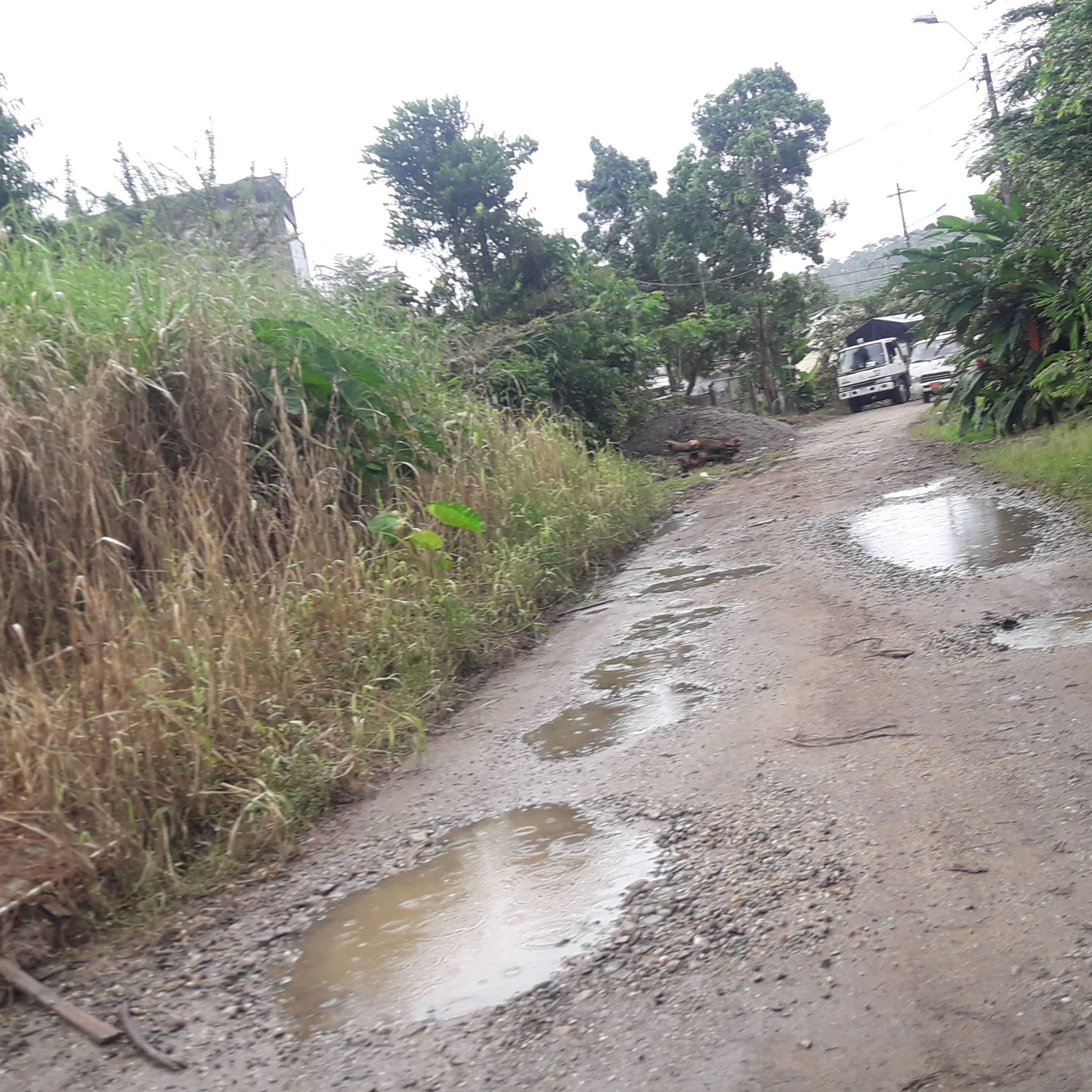 Street view near Some, Tena — © yesenia22 (CC BY-SA · Mapillary)