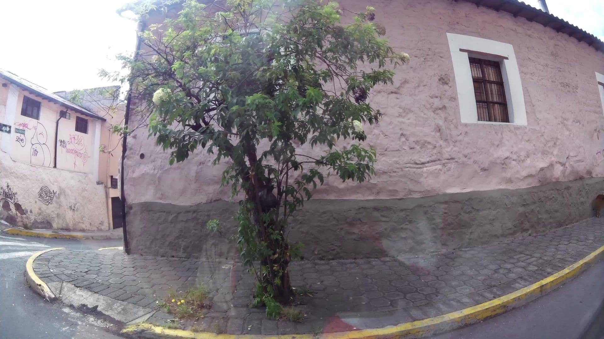 Street view near Hostal Sisa, Quito