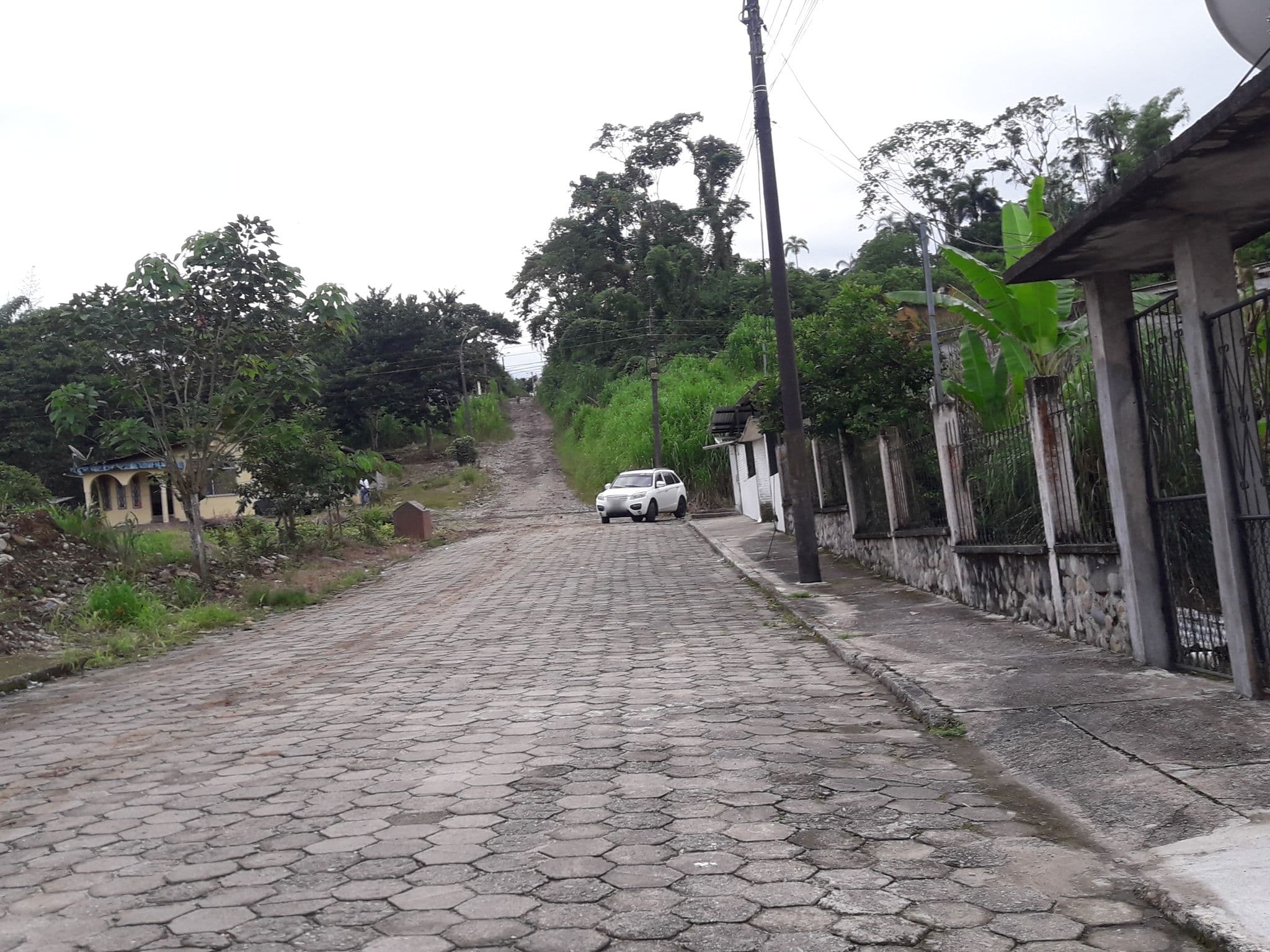 Street view near Casa Las Palmas, Tena — © yesenia22 (CC BY-SA · Mapillary)