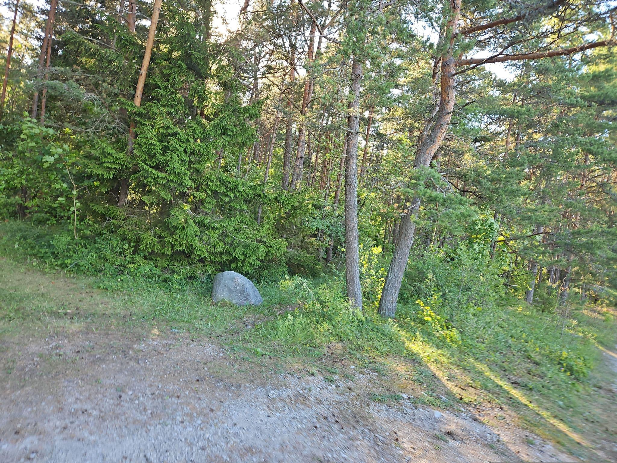 Street view near Triigi telkimisala, Orissaare — © ursus (CC BY-SA · Mapillary)