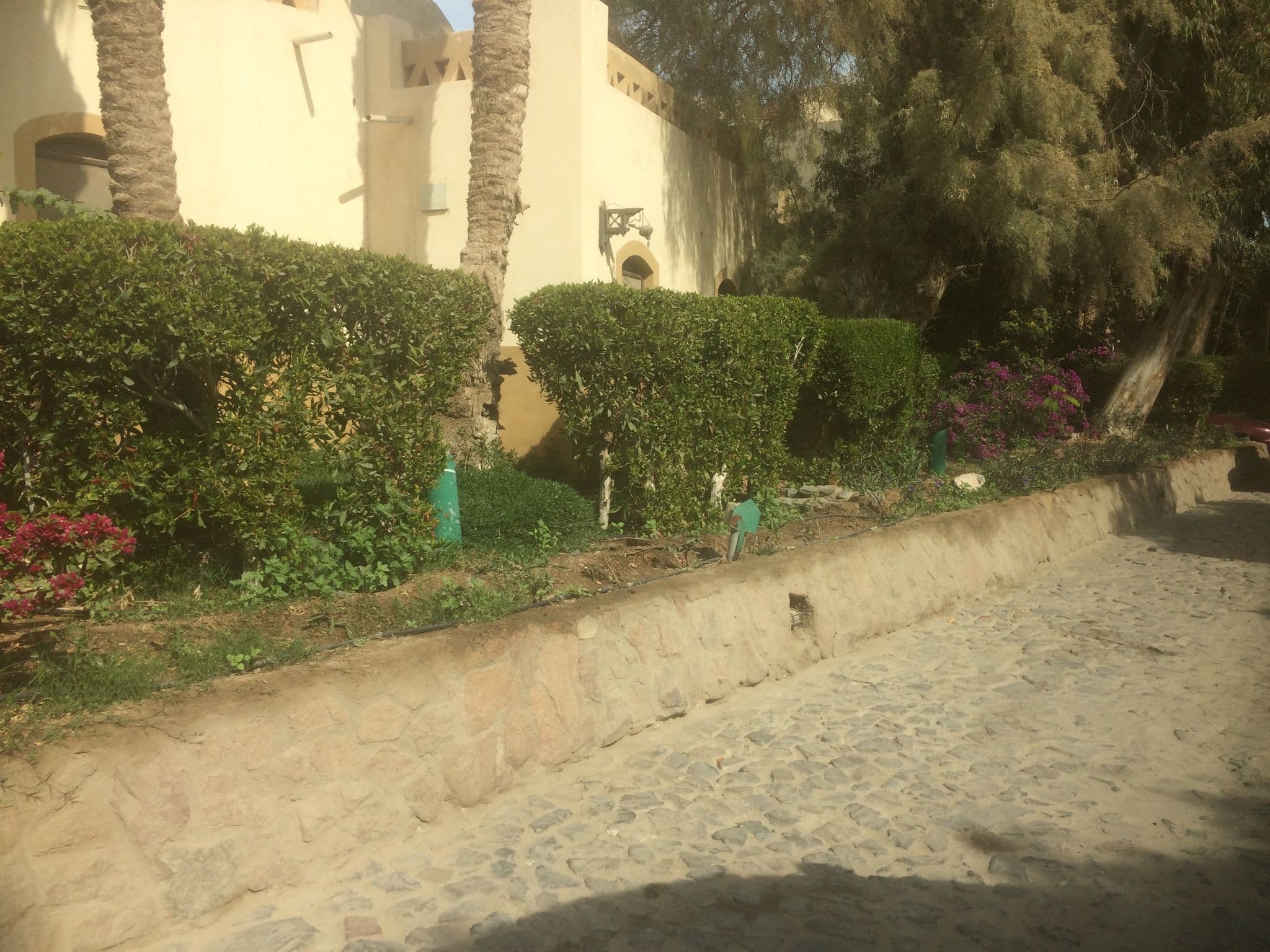 Street view near Dawar El Omdar, El Gouna — © horsecab (CC BY-SA · Mapillary)