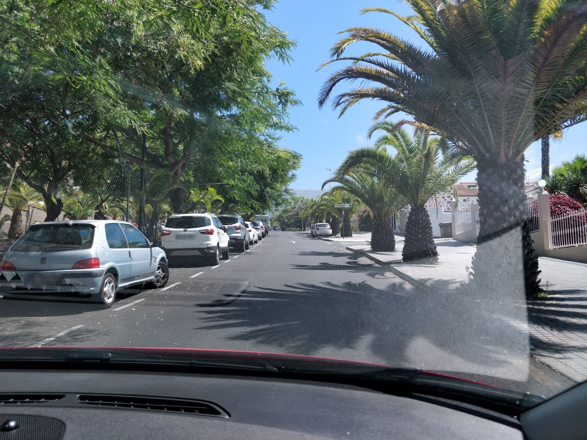 Street view near Los Dragos del Norte, Puerto de la Cruz — © cronoser (CC BY-SA · Mapillary)