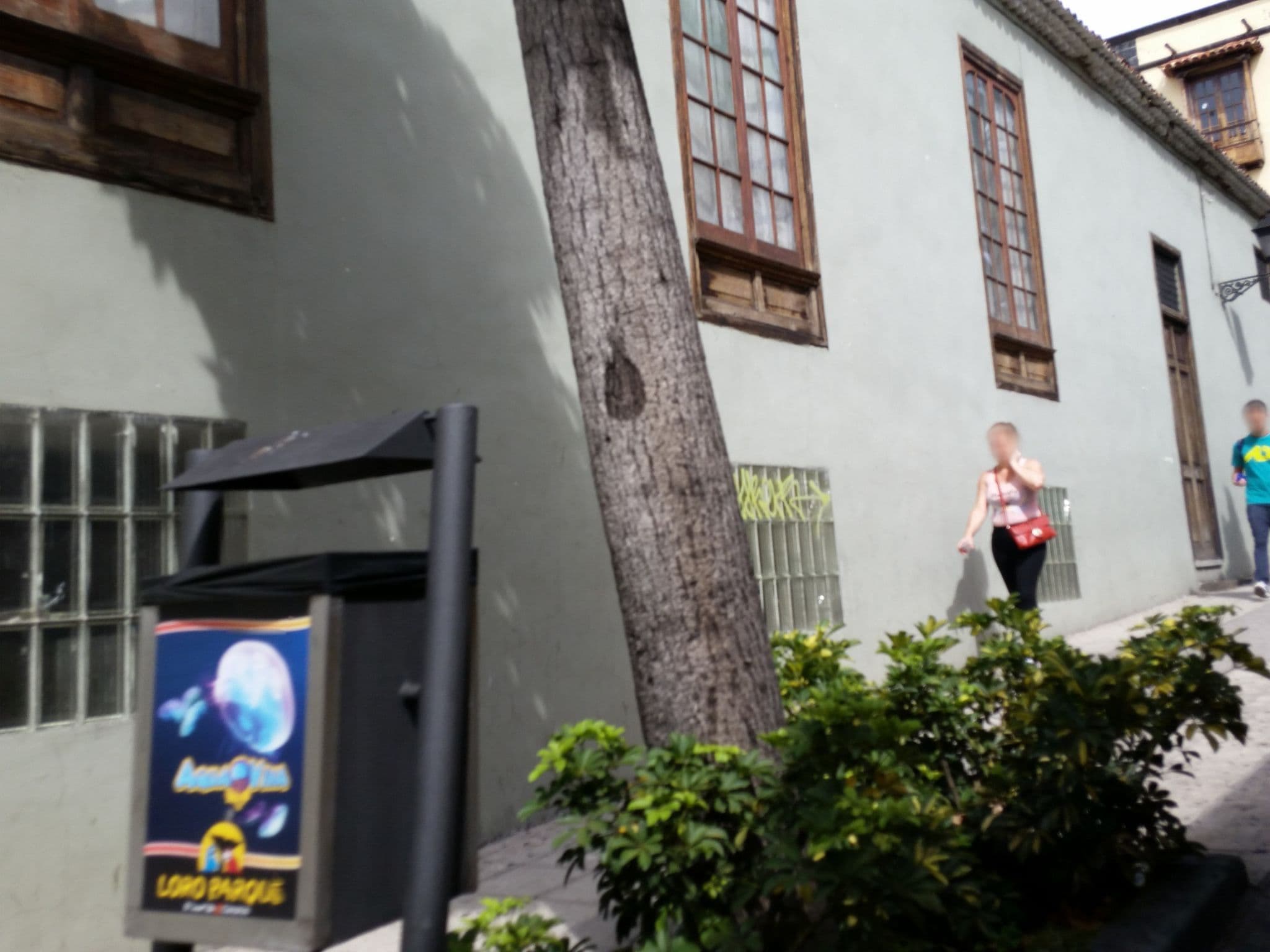 Street view near My City, Puerto de la Cruz — © joachim_mueller (CC BY-SA · Mapillary)