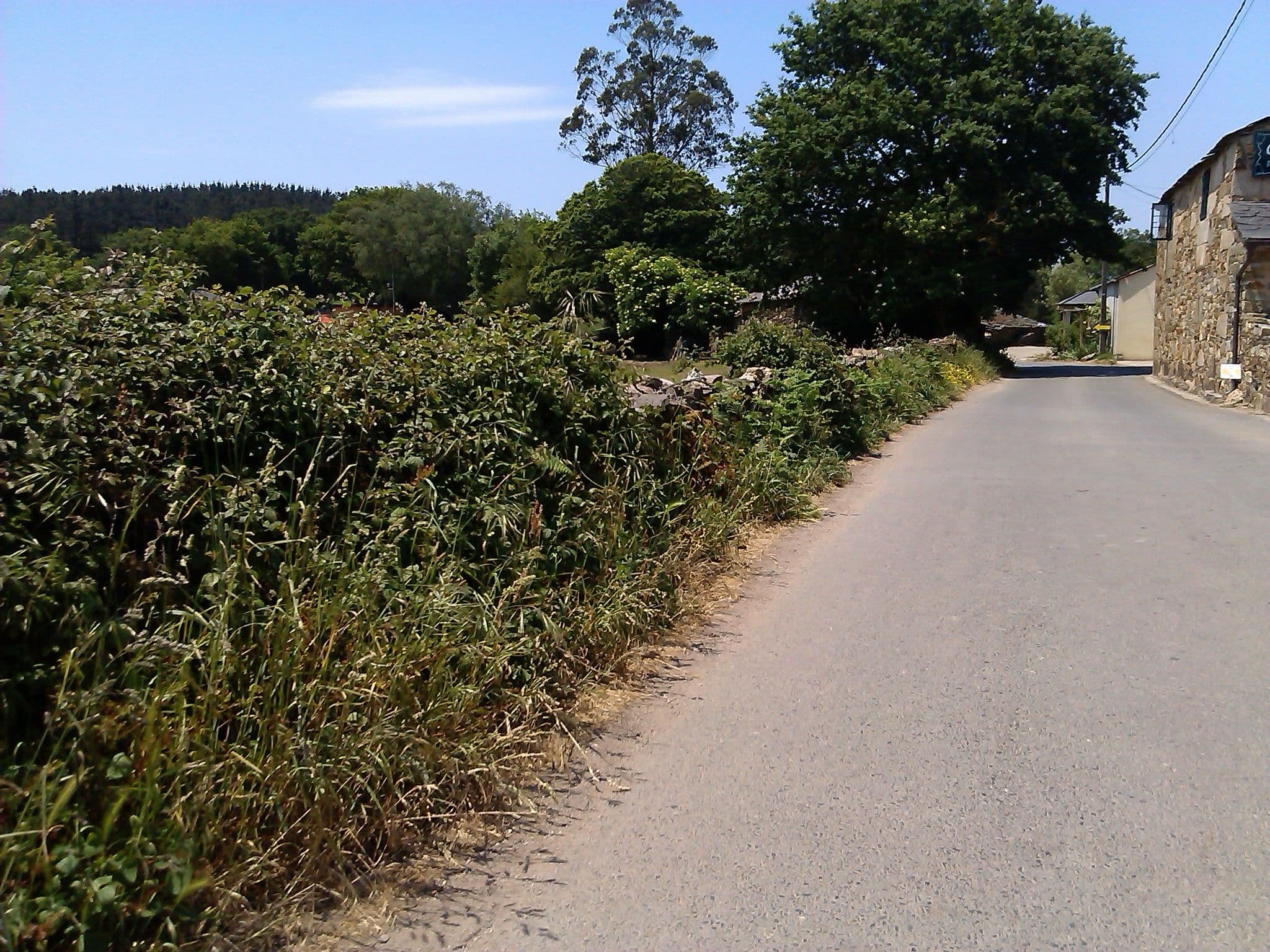 Street view near Albergue-Bar Casa Molar, Monterroso — © changchun1 (CC BY-SA · Mapillary)