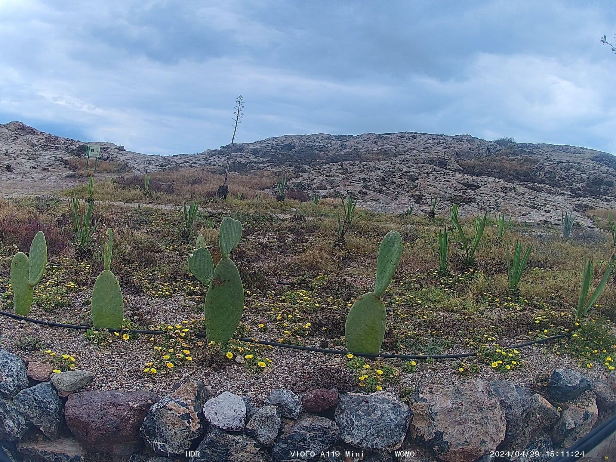 Street view near Hotel Los Escullos, San José — © soulcover (CC BY-SA · Mapillary)