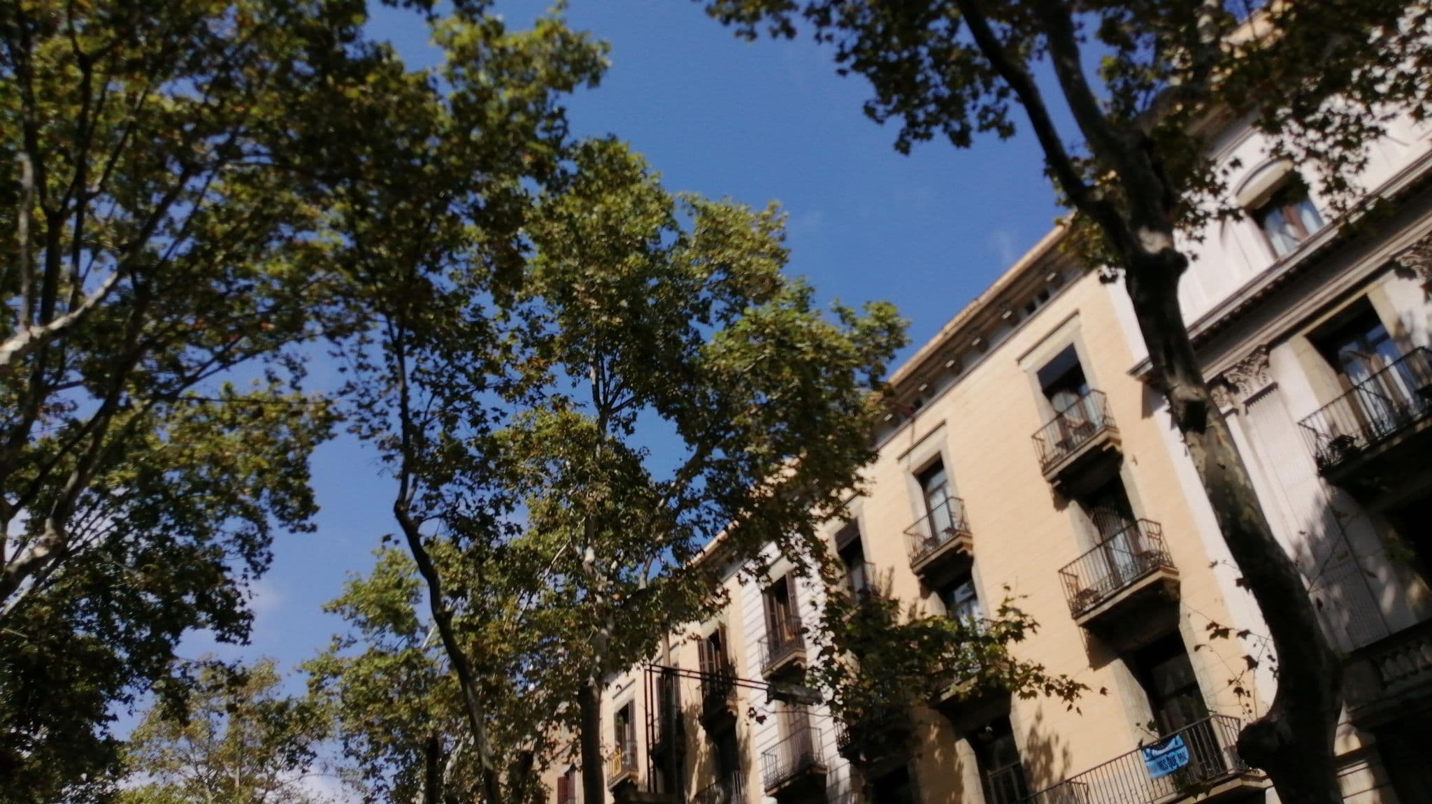 Street view near Hotel Cuatro Naciones, Ciutat Vella — © alememex (CC BY-SA · Mapillary)