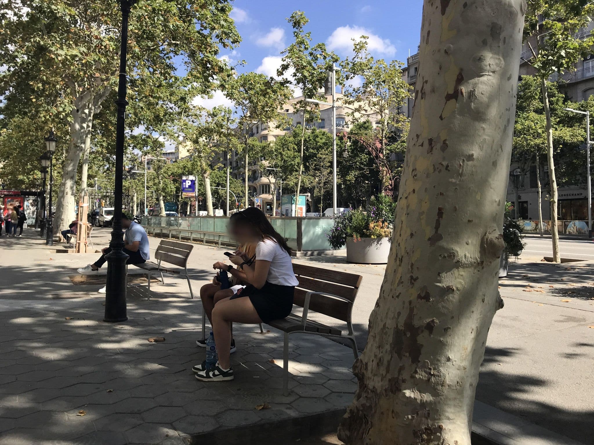 Street view near Hotel Royal Passeig de Gracia, Dreta de l'Eixample — © miguel_andrade (CC BY-SA · Mapillary)