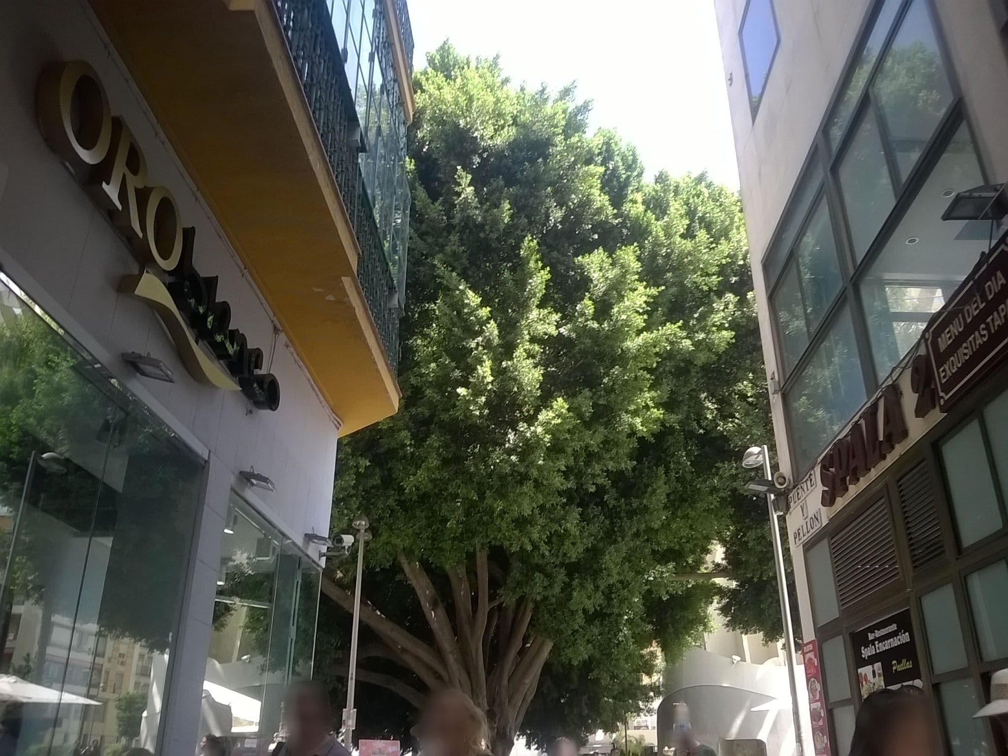 Street view near Hotel Abba, Sevilla