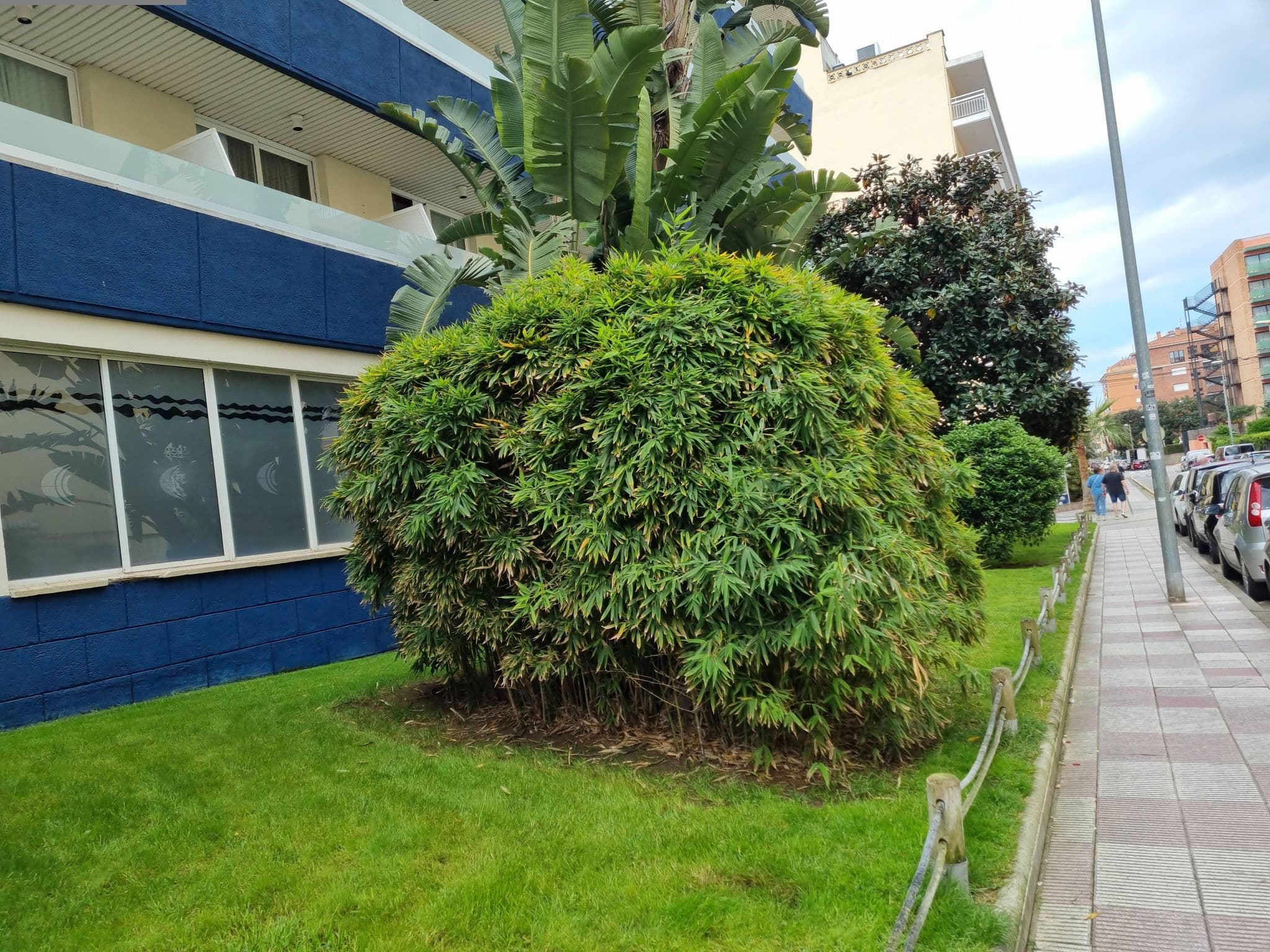 Street view near Hotel & SPA Aquarium ****, Lloret de Mar
