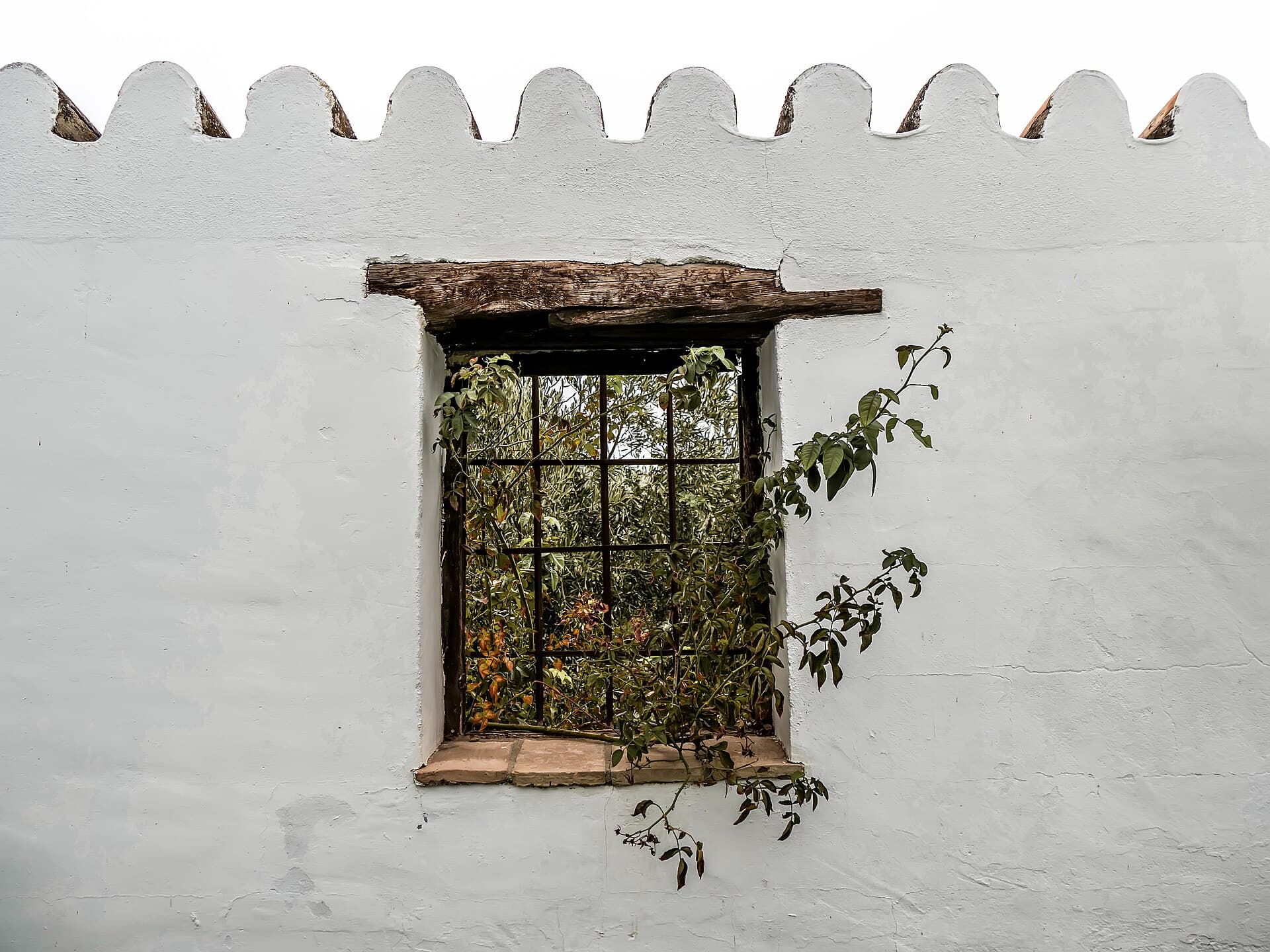 Hacienda Minerva (via Wikimedia Commons, CC BY-SA 2.0)