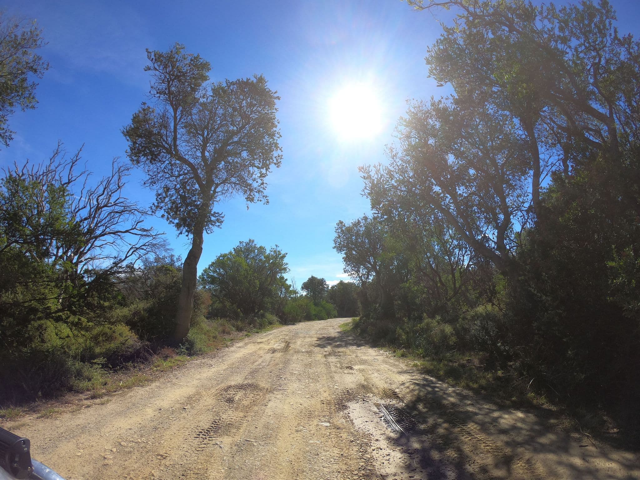 Street view near Bay Of Fires Conservation Area, St Helens — © tastrax (CC BY-SA · Mapillary)
