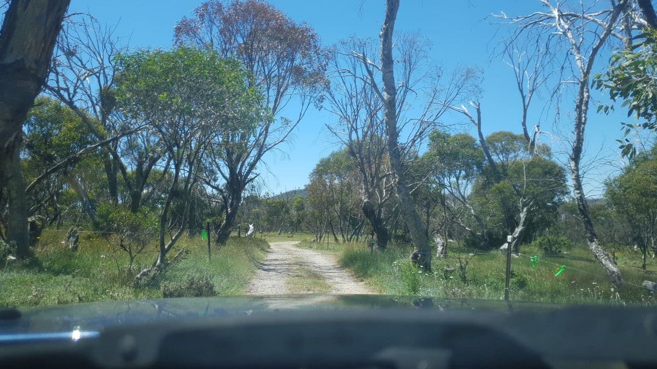 Street view near Langfords West Campground, Falls Creek — © tonyf1 (CC BY-SA · Mapillary)