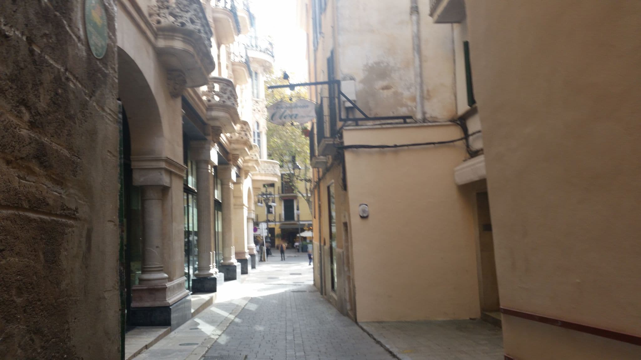 Street view near ICON Rosetó, Palma — © elgaard (CC BY-SA · Mapillary)