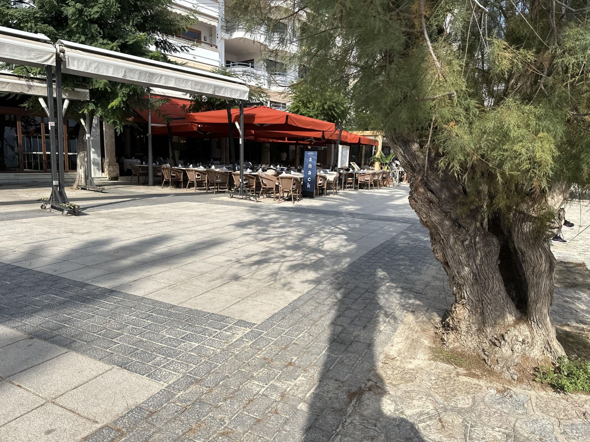 Street view near Daina, Port de Pollença — © asturksever (CC BY-SA · Mapillary)