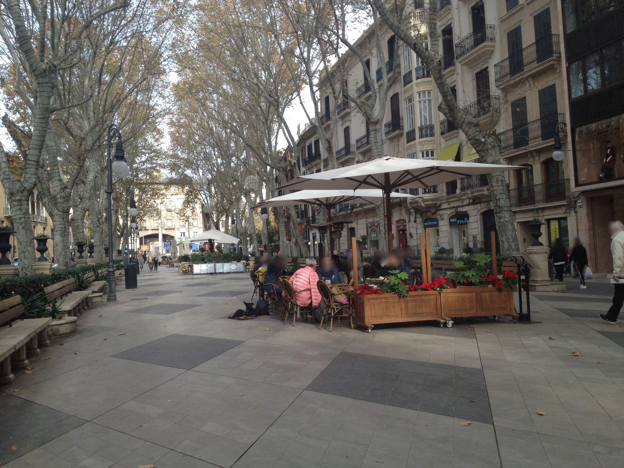 Street view near Nivia Born Boutique Hotel, Palma — © elgaard (CC BY-SA · Mapillary)
