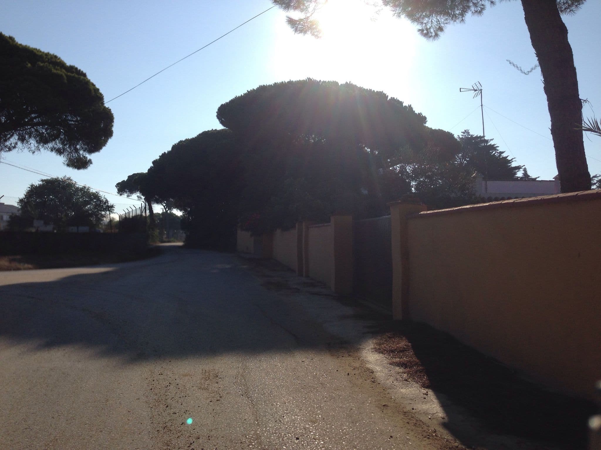 Street view near Amarna Conil, Conil de la Frontera — © flidolin (CC BY-SA · Mapillary)