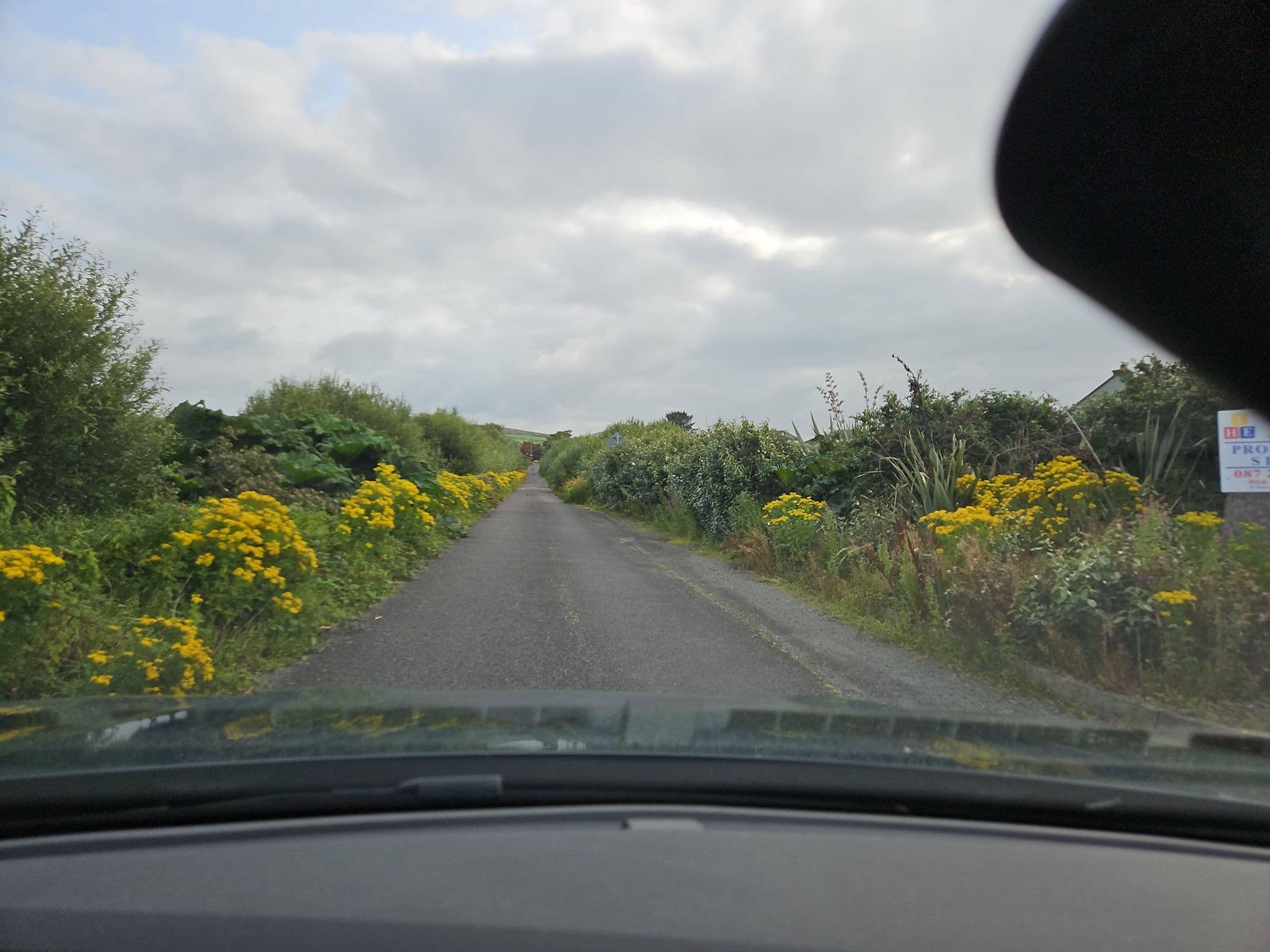 Street view near Klondyke House, Cahersiveen — © toho (CC BY-SA · Mapillary)