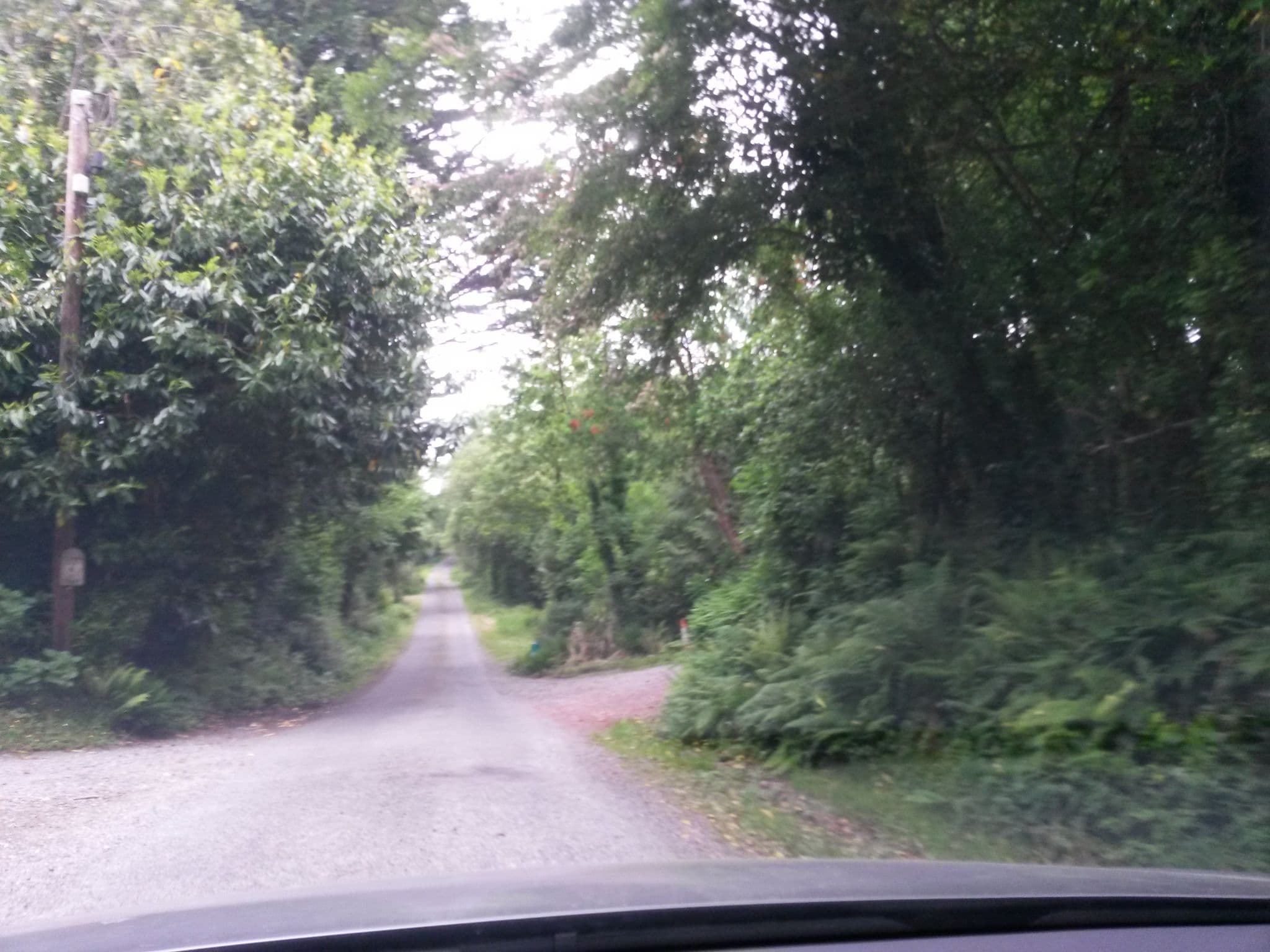 Street view near Waterfall B&B, Kenmare — © rausk (CC BY-SA · Mapillary)