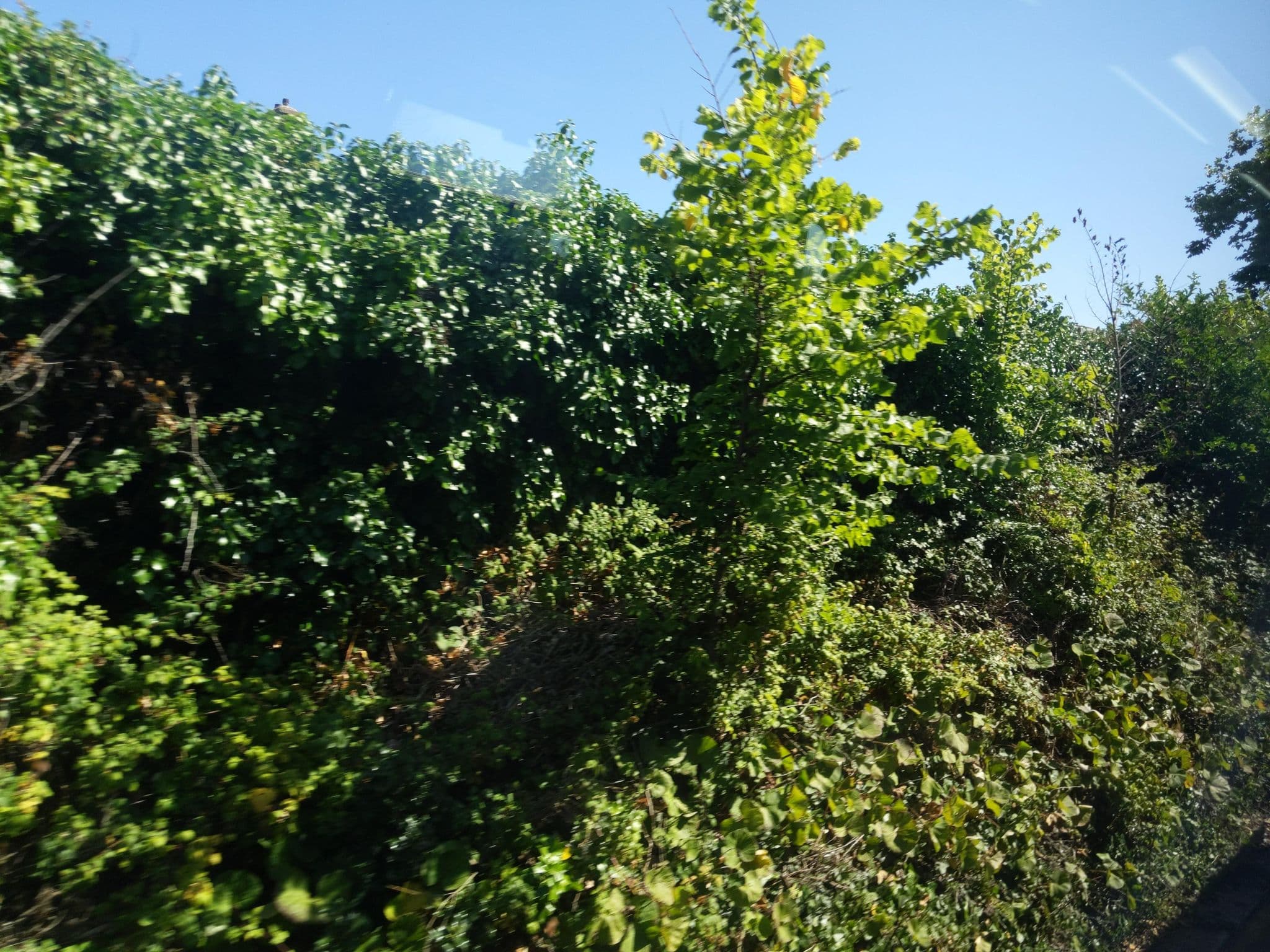 Street view near The Waverley, Paignton