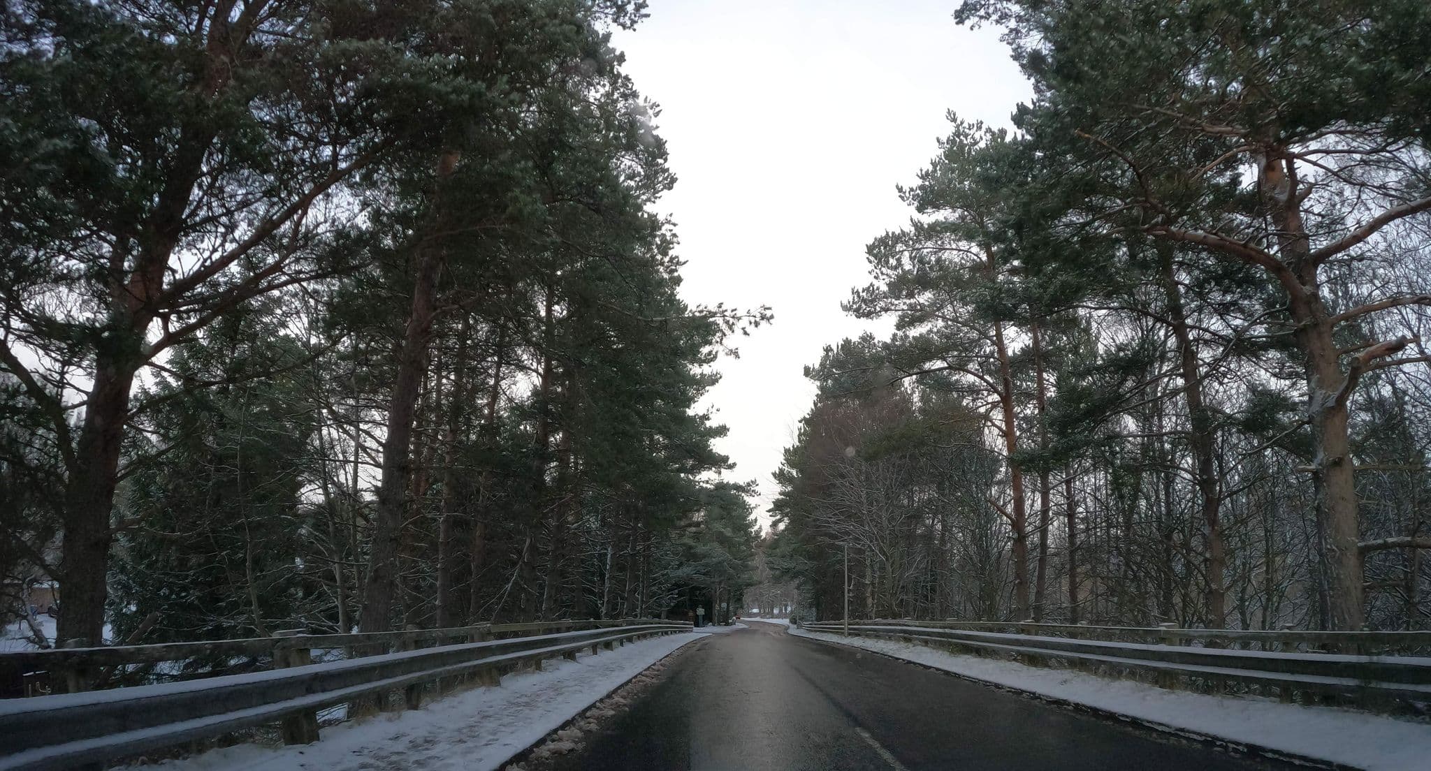 Street view near Lurchers Cabin, Aviemore — © hobgoblin (CC BY-SA · Mapillary)