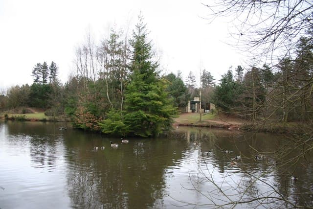 Center Parcs Sherwood Forest (via Wikimedia Commons, CC BY-SA 2.0)