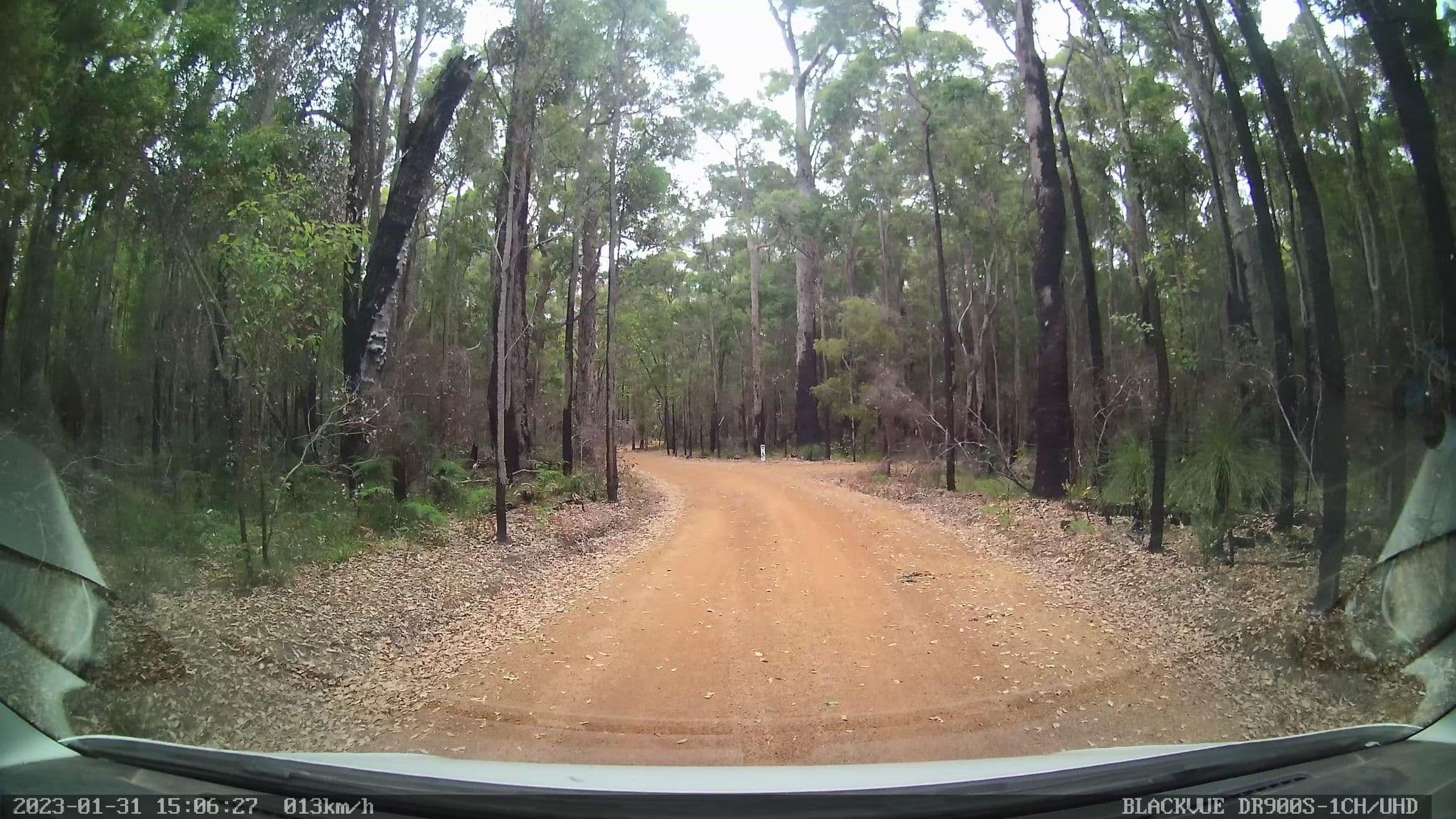 Street view near Carey Brook (Grass Tree Hollow) Camping Area, Pemberton — © bob3bob3 (CC BY-SA · Mapillary)