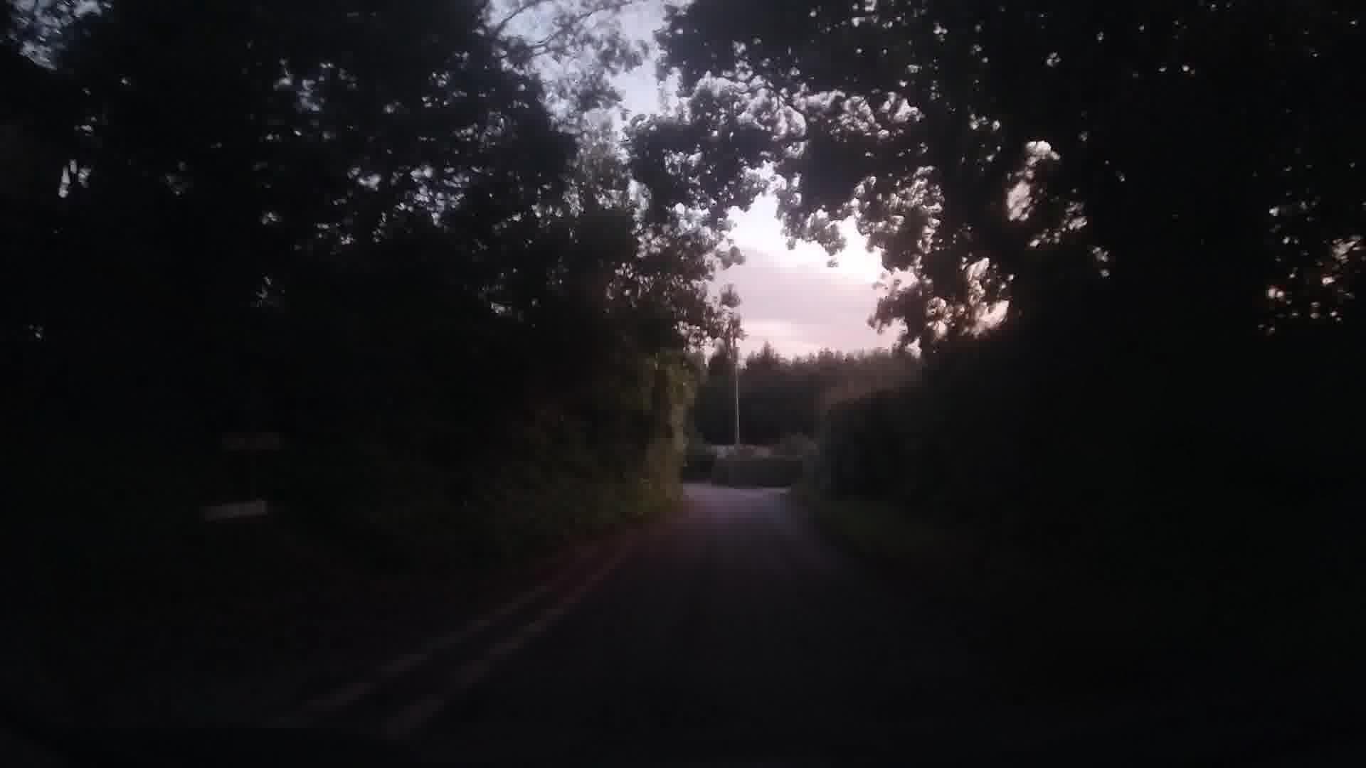 Street view near Pinewood, Saundersfoot — © trigpoint (CC BY-SA · Mapillary)