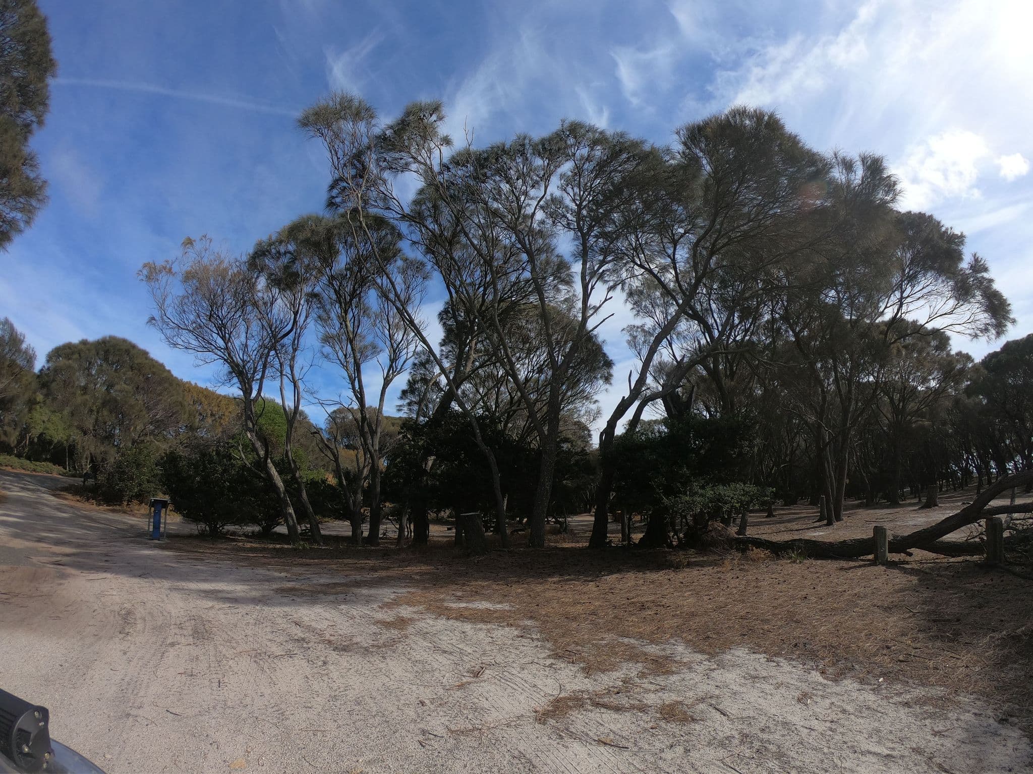 Street view near Stumpys Bay Campground 1, St Helens — © tastrax (CC BY-SA · Mapillary)