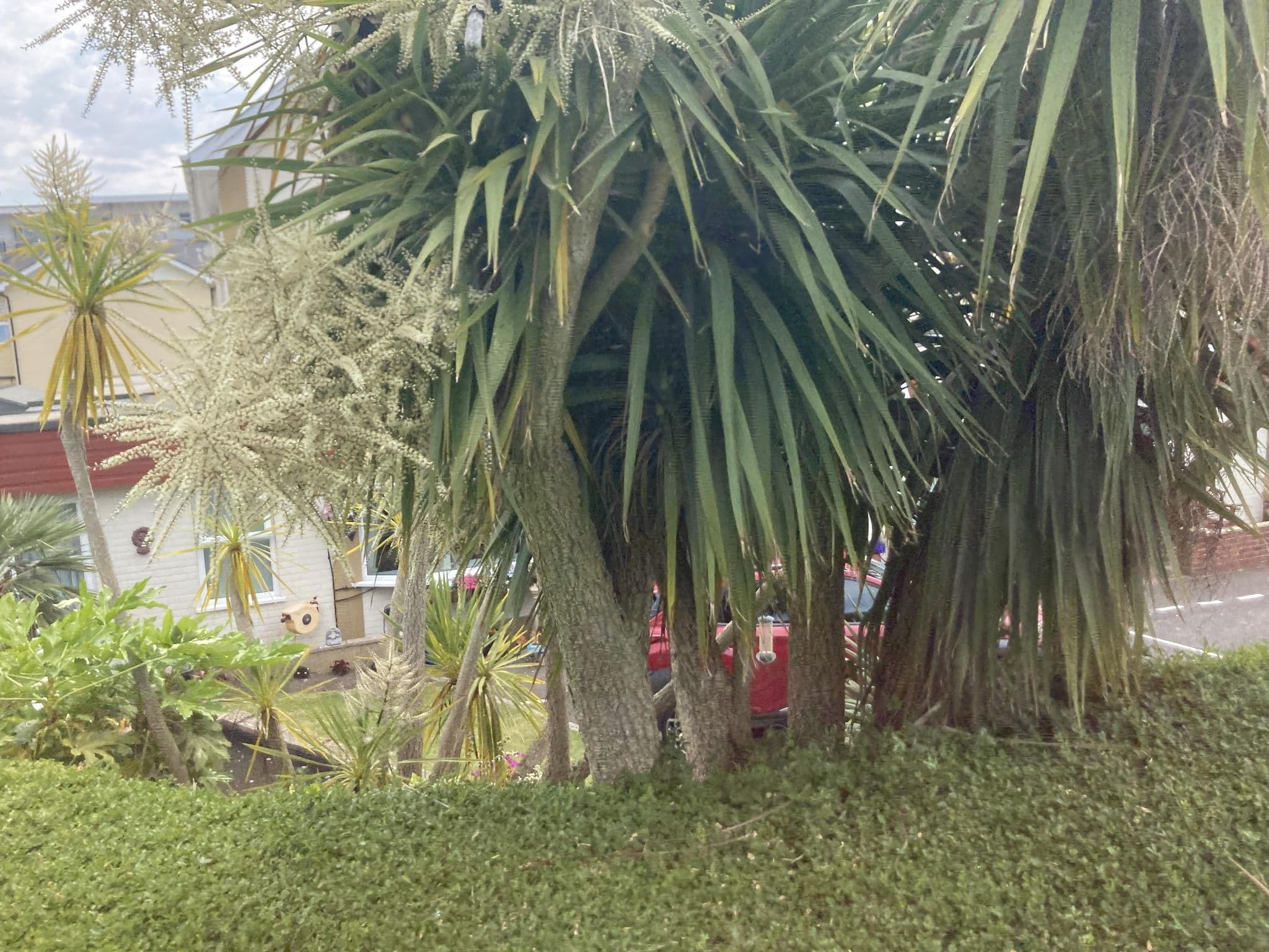 Street view near Hambledon Hotel, Shanklin — © cjmalone (CC BY-SA · Mapillary)