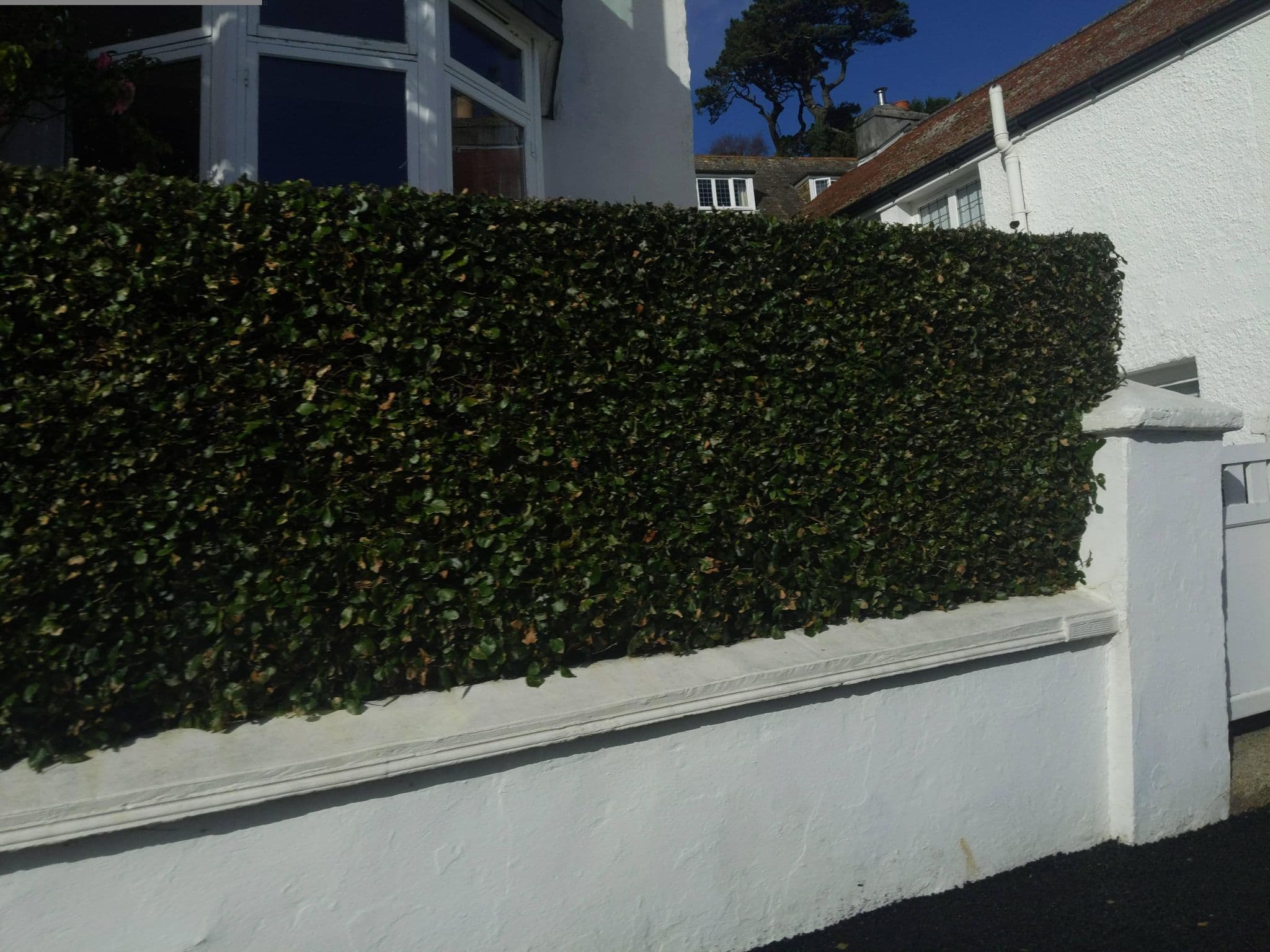 Street view near The Moorings, Falmouth — © WaggyDog (CC BY-SA · Mapillary)