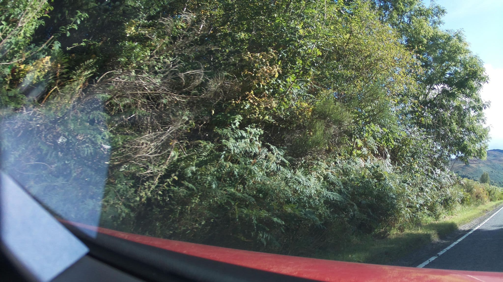 Street view near Loch Ness Pods, Drumnadrochit — © southglos (CC BY-SA · Mapillary)