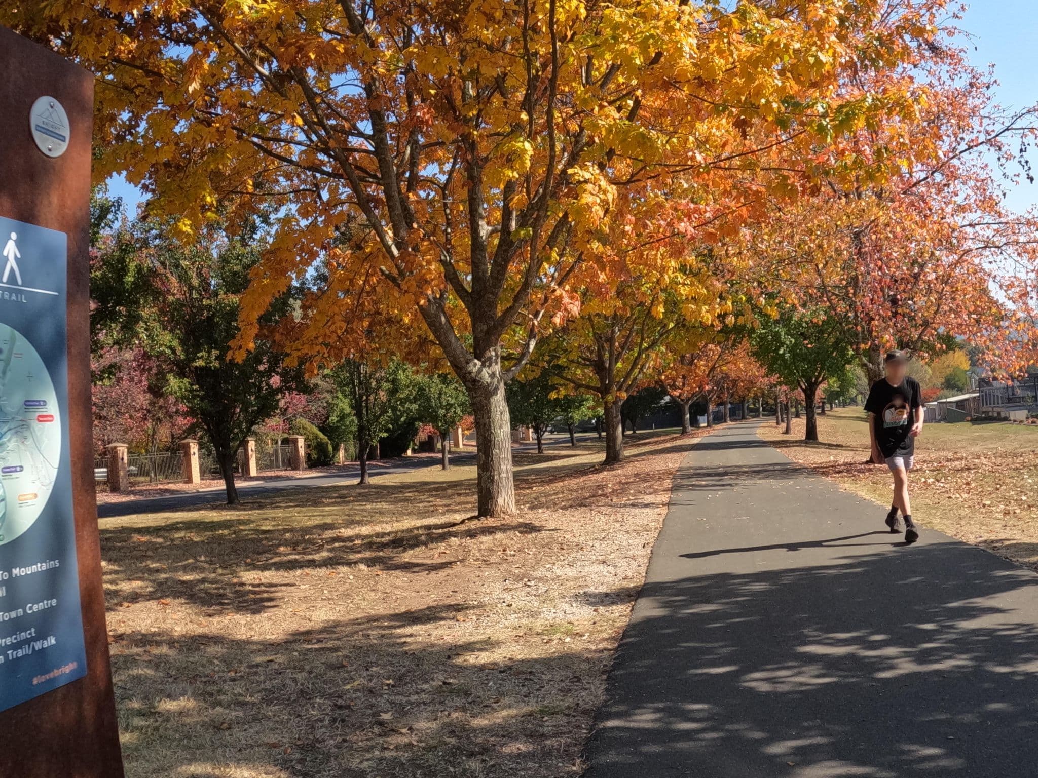 Street view near Bright on Track, Bright — © skillsy (CC BY-SA · Mapillary)