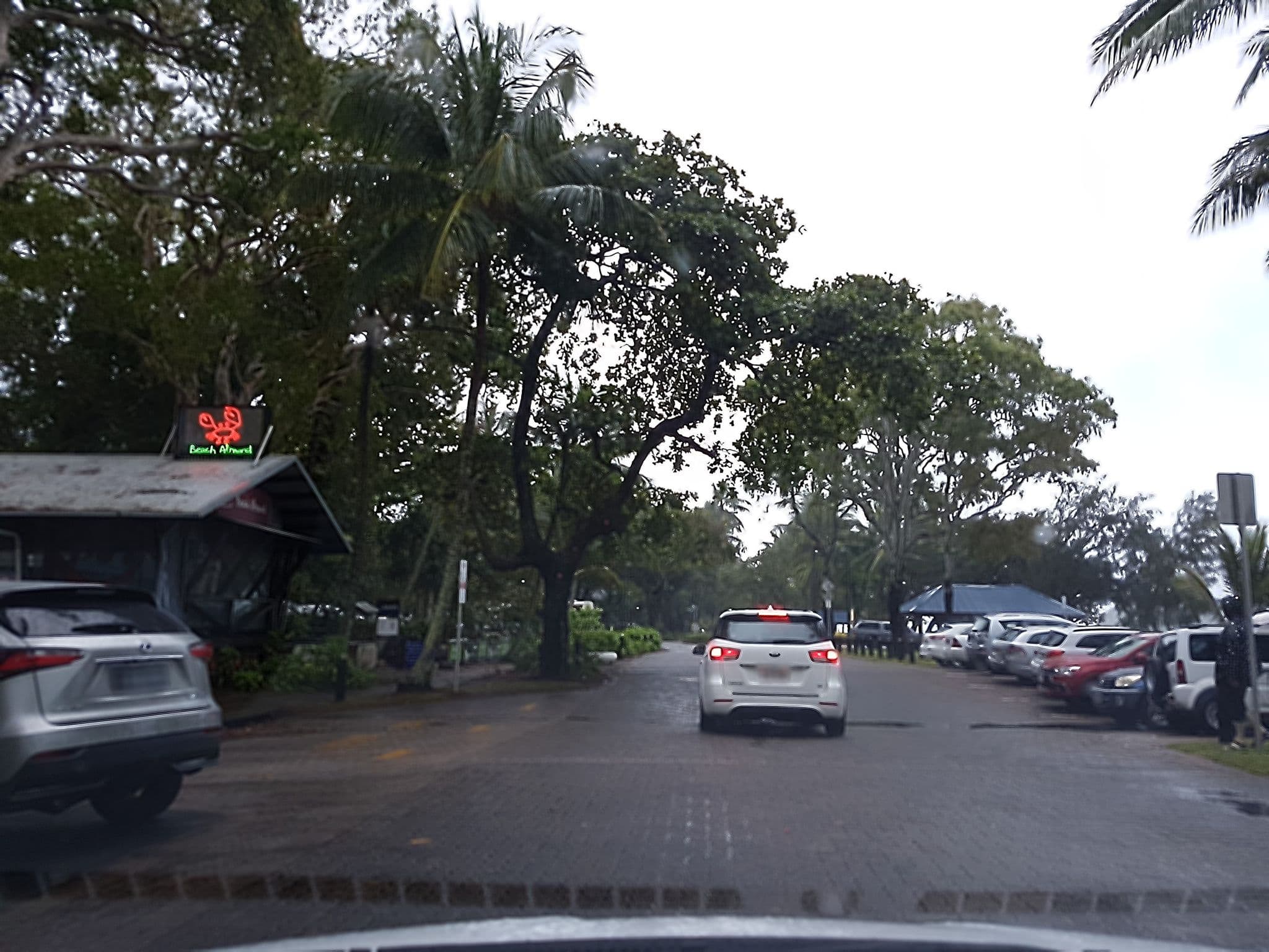 Street view near Alassio Palm Cove, Palm Cove — © stev391 (CC BY-SA · Mapillary)