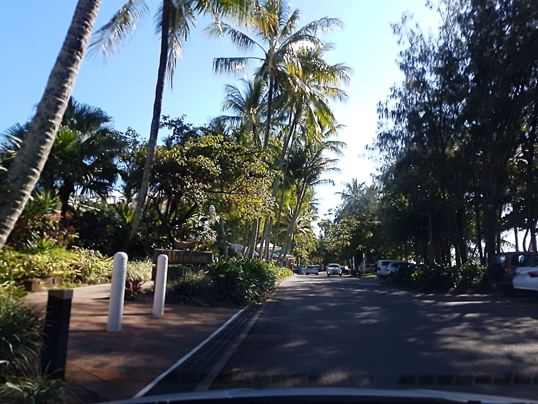 Street view near Melaleuca Resort, Palm Cove — © stev391 (CC BY-SA · Mapillary)