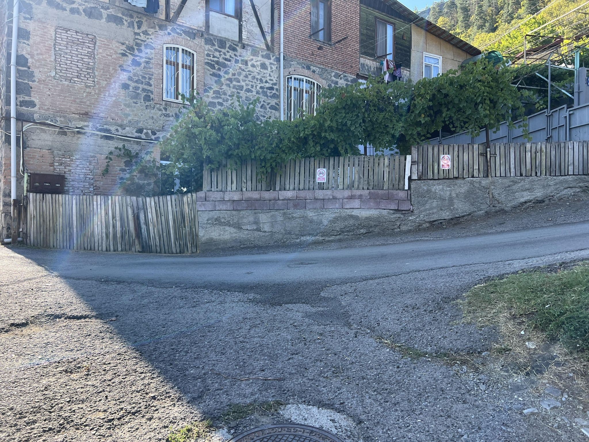 Street view near guest house green rose, Borjomi — © alxmamaev (CC BY-SA · Mapillary)