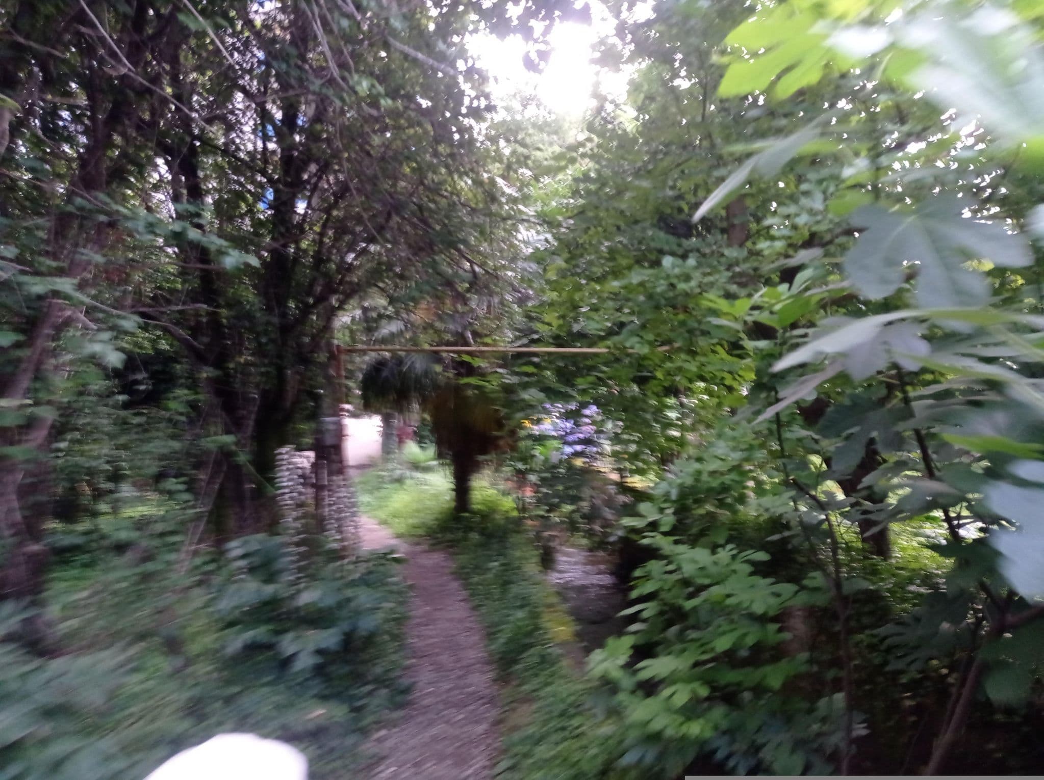 Street view near Mum's Favourite guest apartment, Batumi — © shoorick (CC BY-SA · Mapillary)