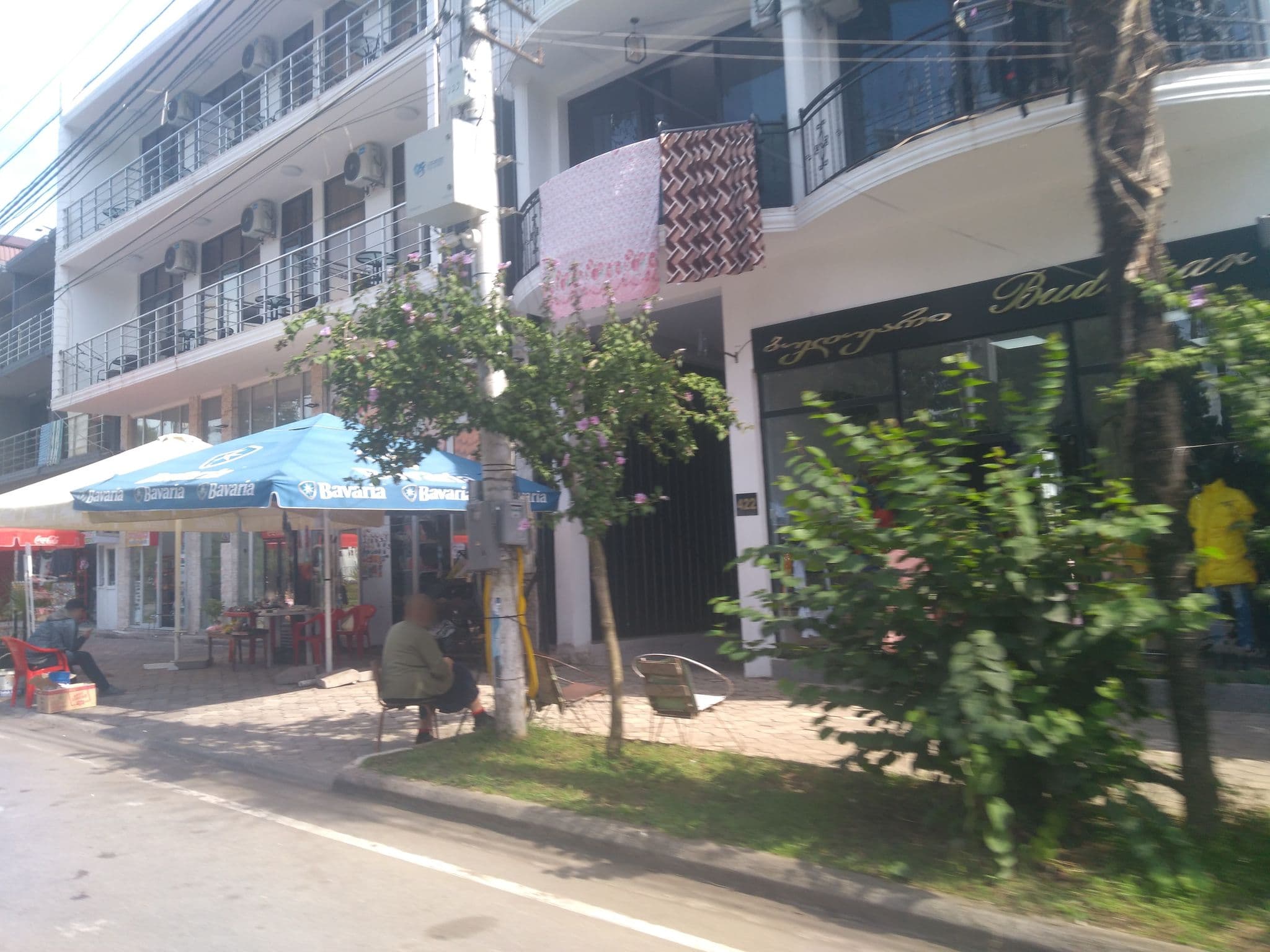 Street view near Ev, Kobuleti — © vovenarg (CC BY-SA · Mapillary)