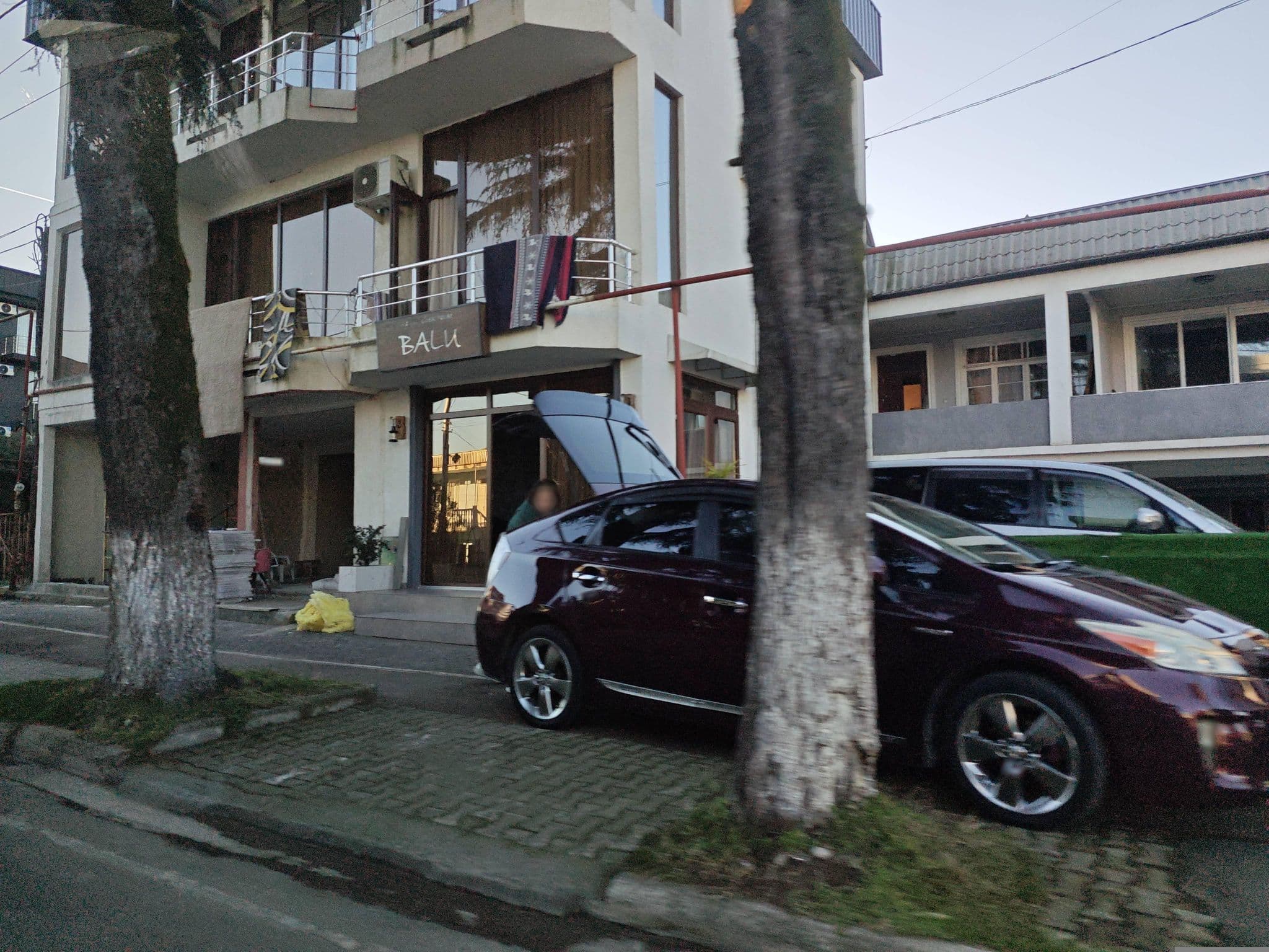 Street view near Tamazi, Kobuleti — © emptychild (CC BY-SA · Mapillary)