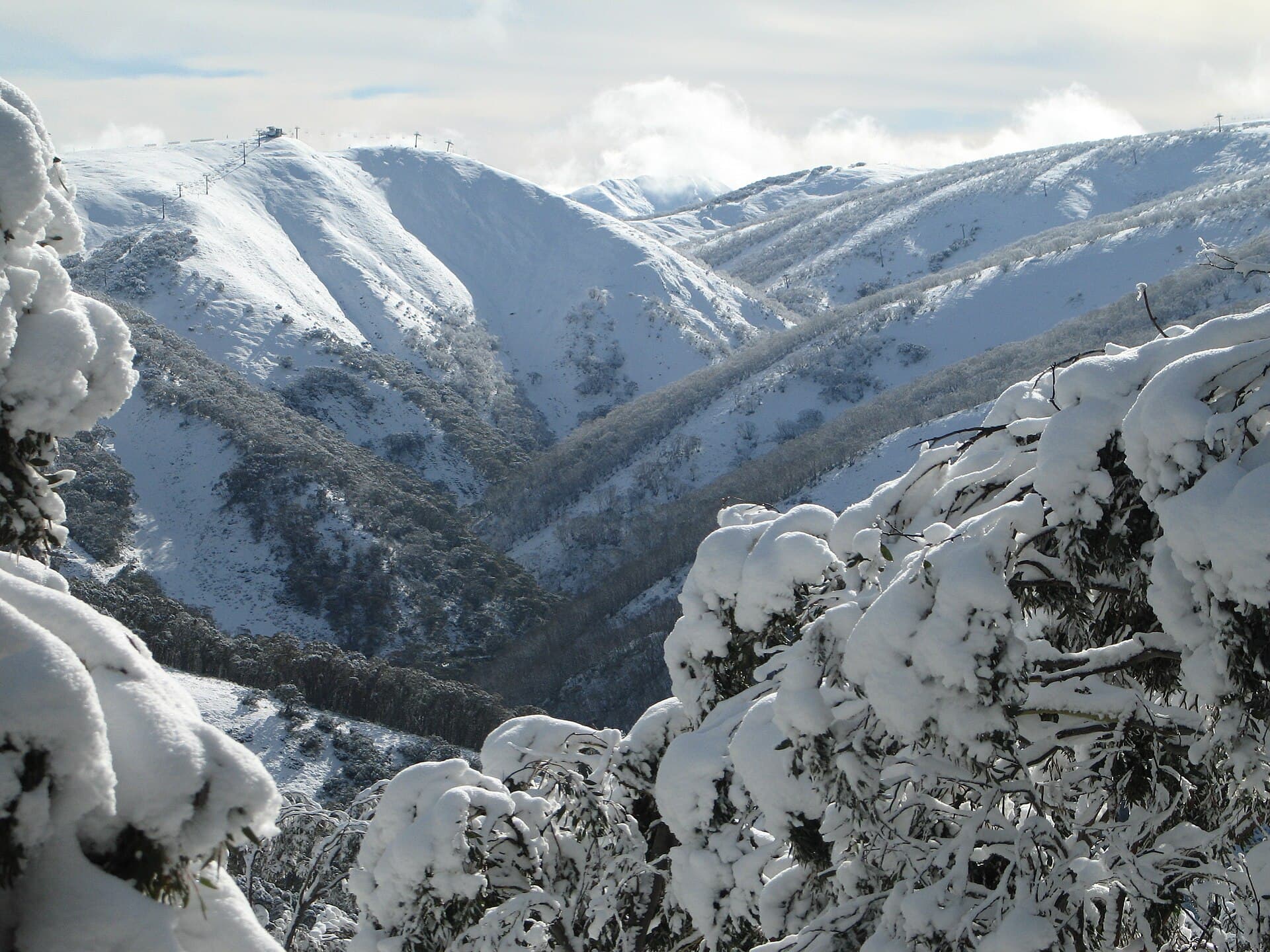Mount Hotham Alpine Resort (via Wikimedia Commons, CC BY-SA 3.0)