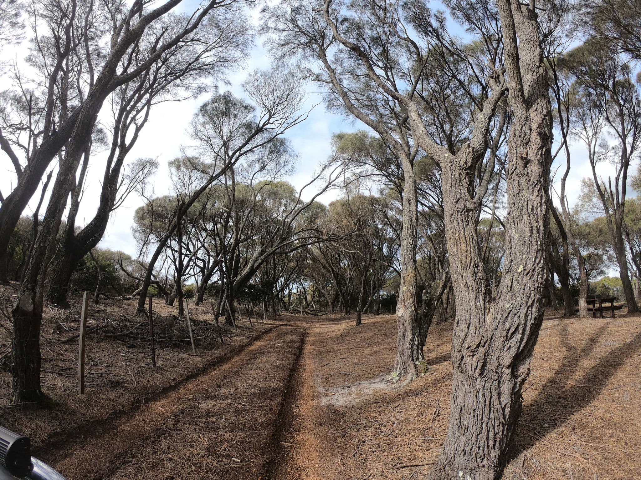 Street view near Stumpys Bay Campground 2, St Helens — © tastrax (CC BY-SA · Mapillary)