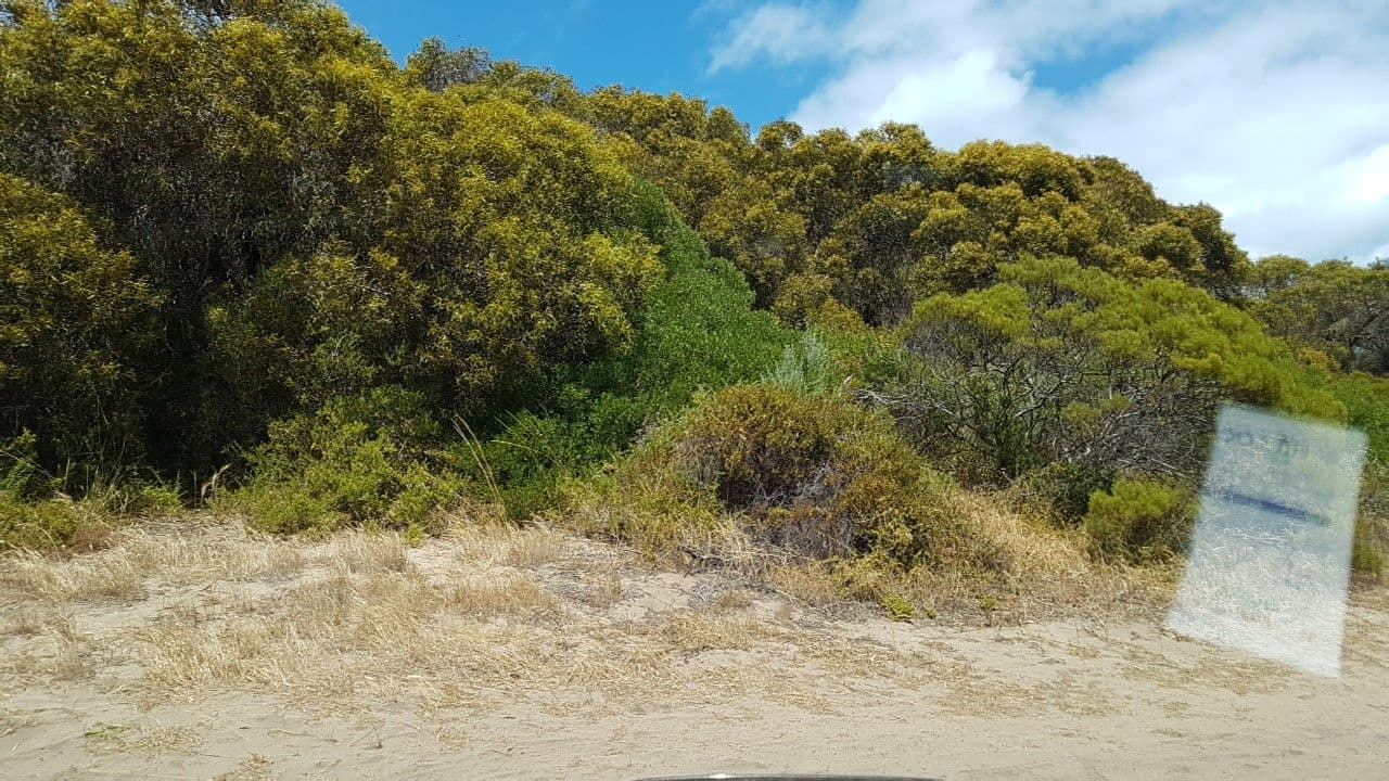 Street view near 17 Pa-no-ma, Kingscote — © didz (CC BY-SA · Mapillary)