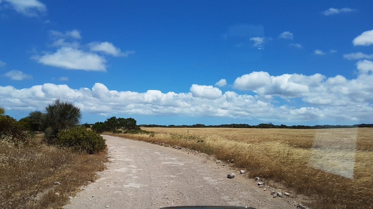 Street view near Ocean Point, Kingscote — © didz (CC BY-SA · Mapillary)