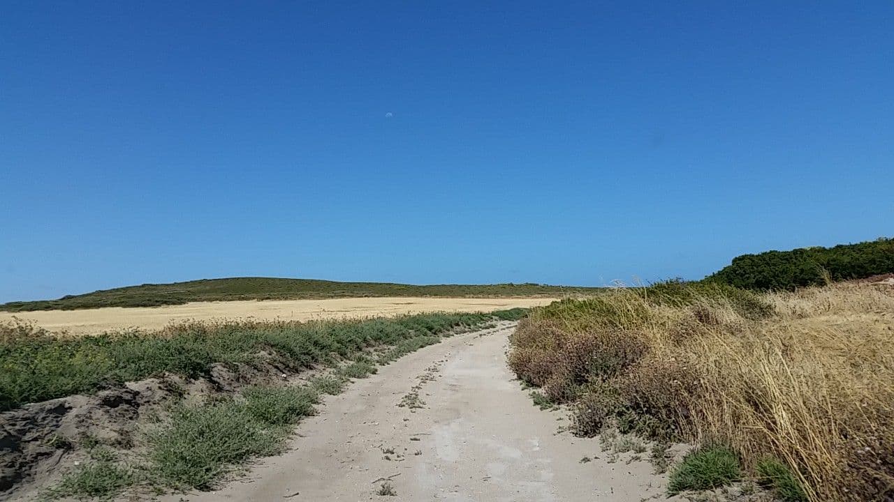 Street view near TC's, Kingscote — © didz (CC BY-SA · Mapillary)