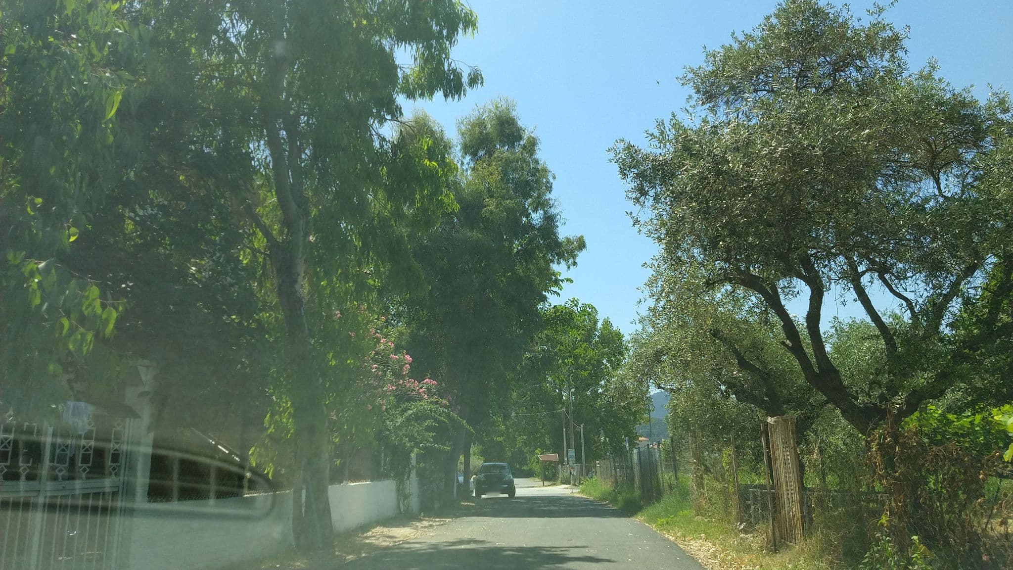Street view near Hotel Macedon, Thásos — © lucia_ (CC BY-SA · Mapillary)