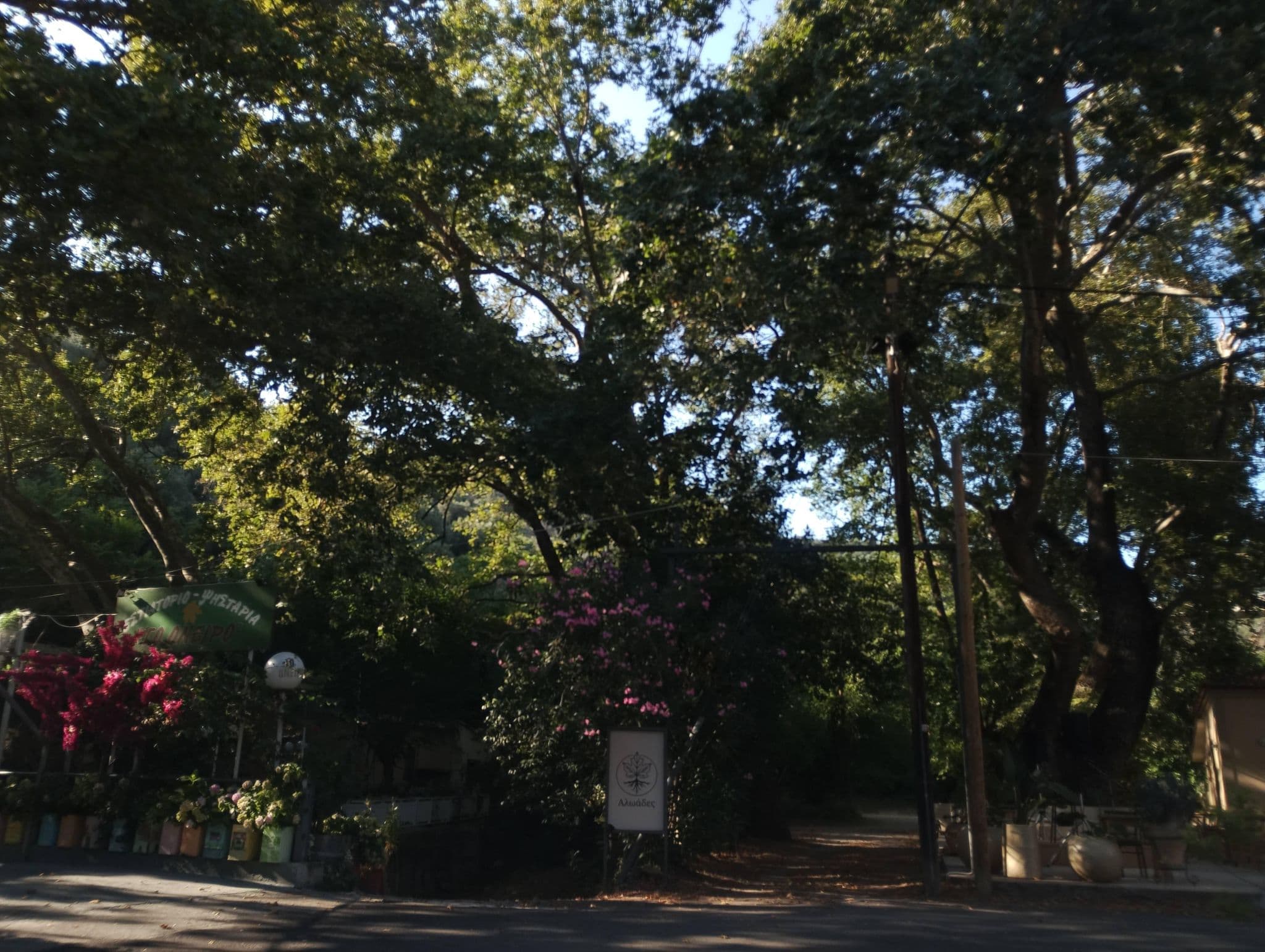 Street view near Kastri, Loutrá Aidhipsoú — © George_210 (CC BY-SA · Mapillary)