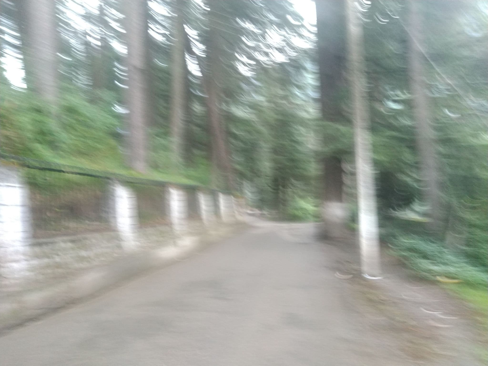 Street view near Shingar Regency, Kulu