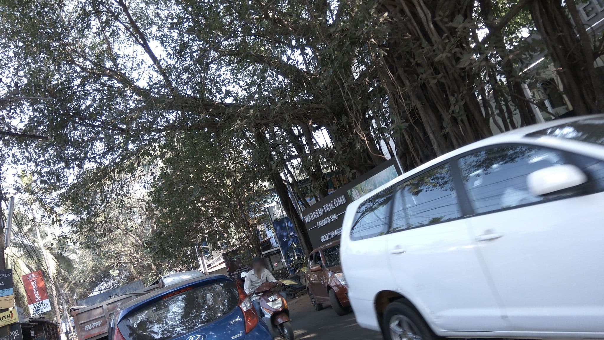 Street view near Novotel Goa Candolim, Candolim — © natarajakaveeti (CC BY-SA · Mapillary)