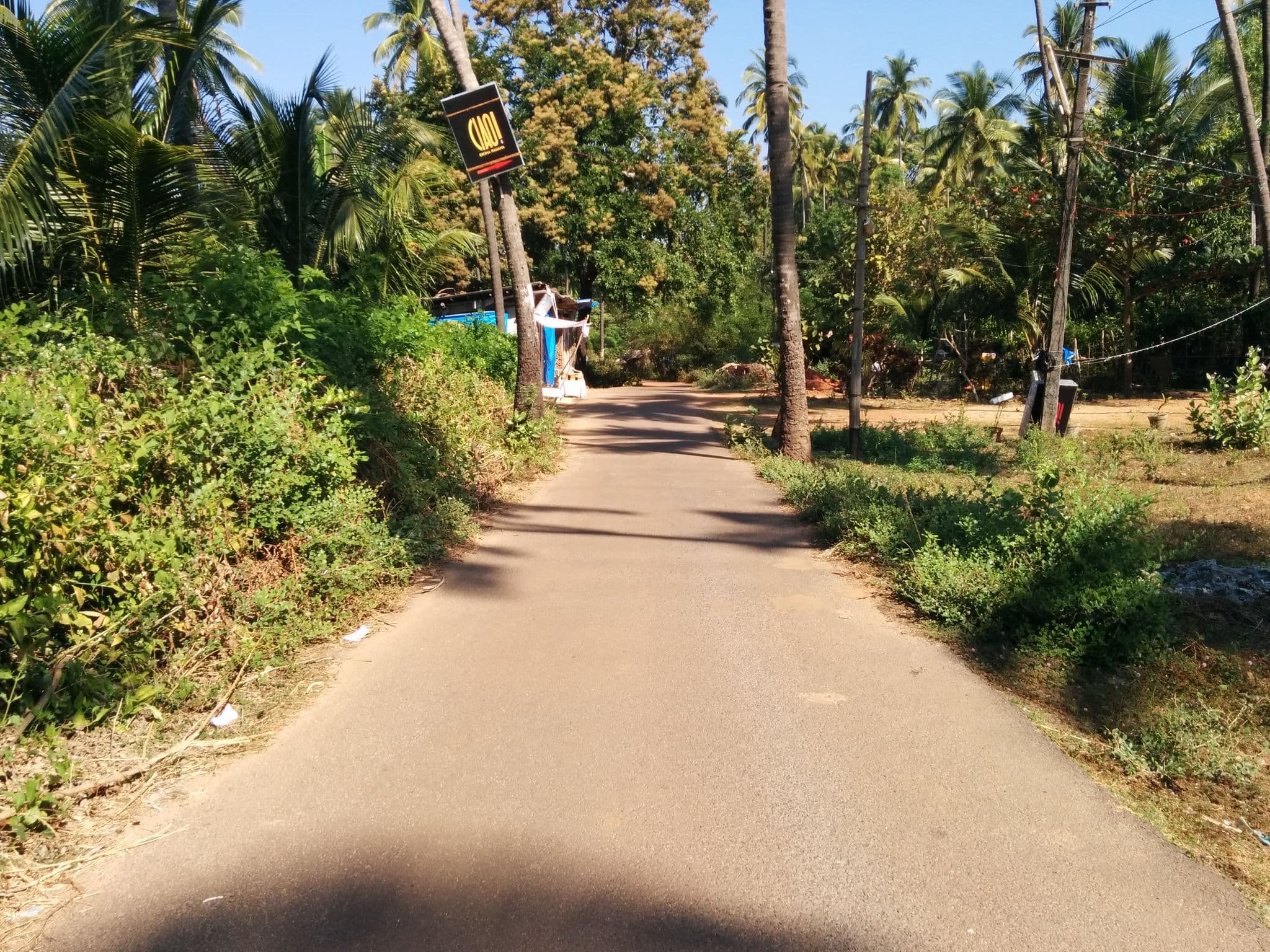 Street view near Ciao!, Canacona — © sashazykov (CC BY-SA · Mapillary)