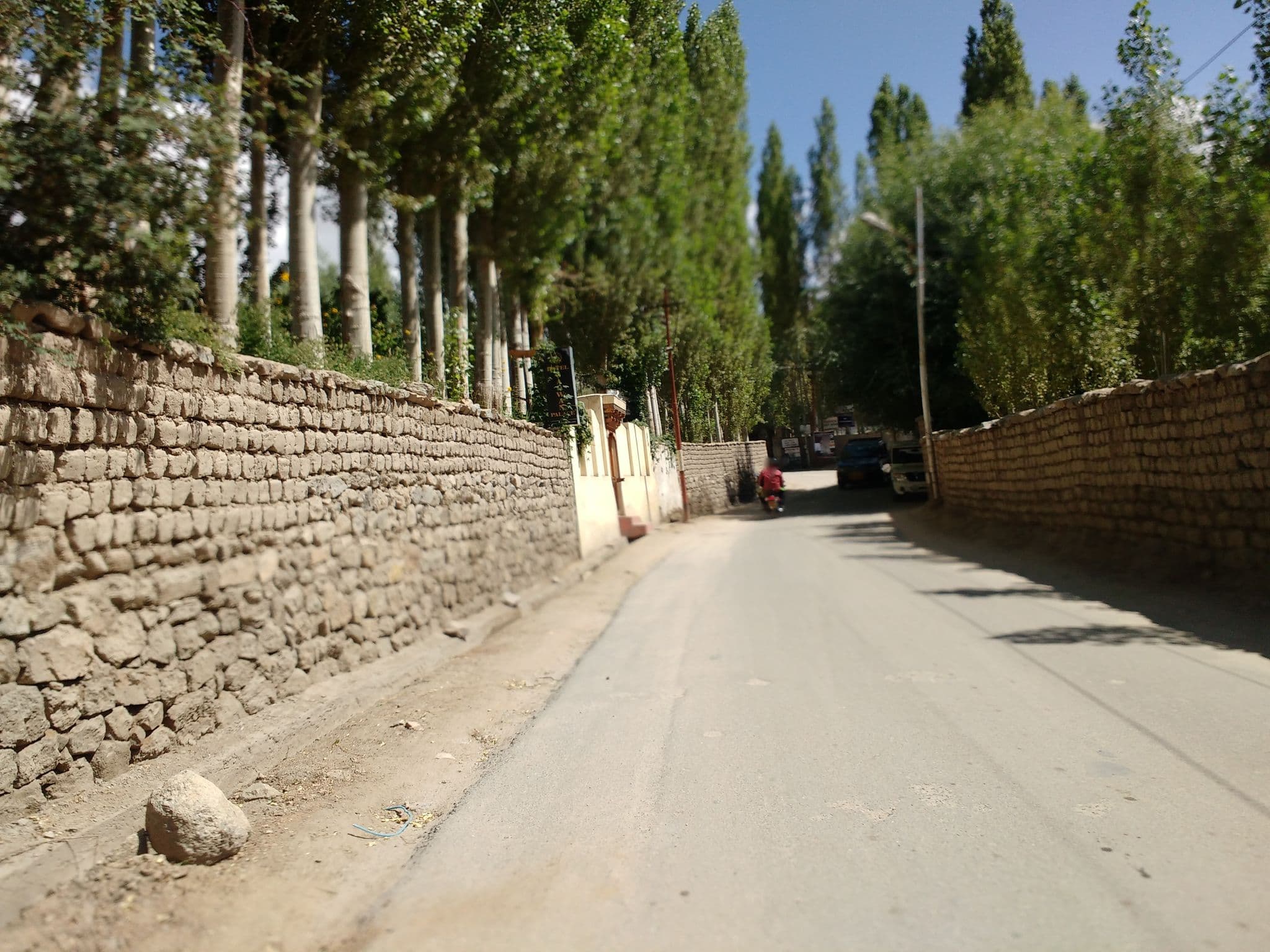Street view near High Himalayas, Leh