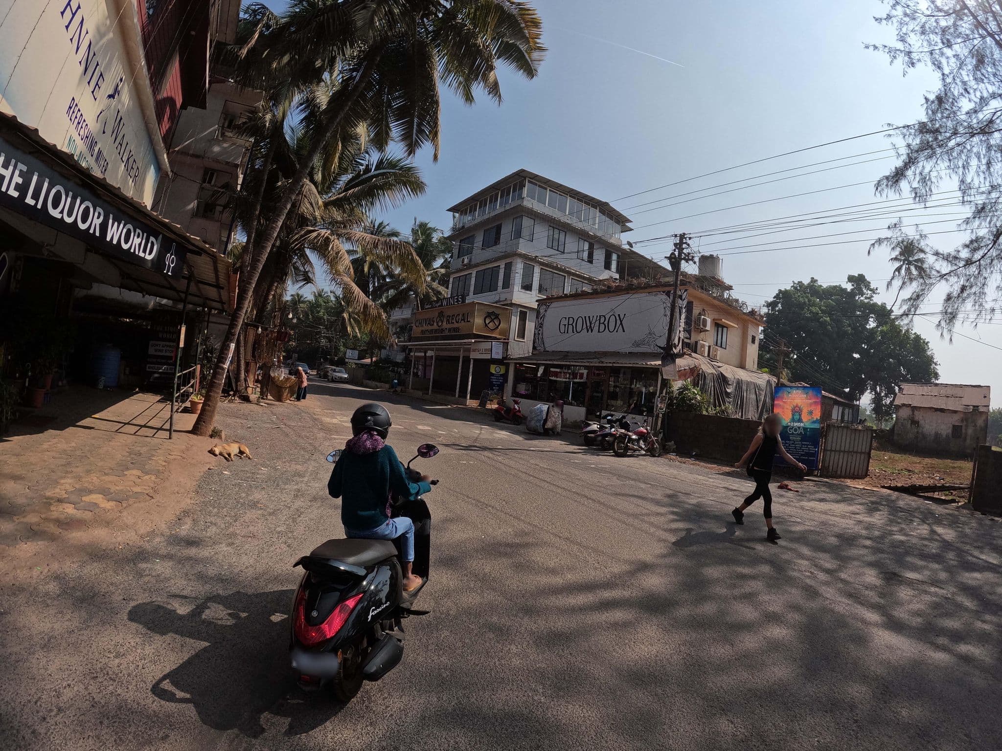 Street view near Pleasure River Front, Morjim — © lucomsky (CC BY-SA · Mapillary)